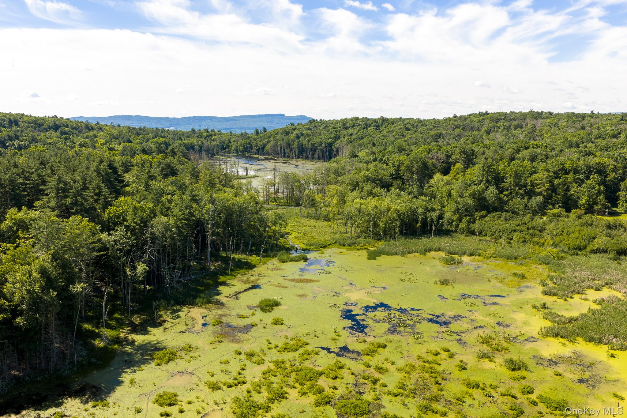 Diverse Landscape with Potential
