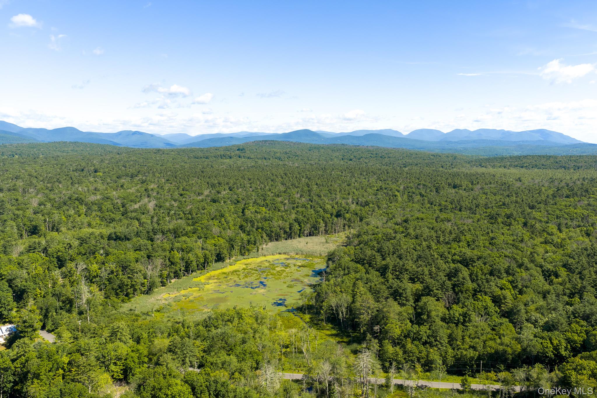 Diverse Landscape with Potential