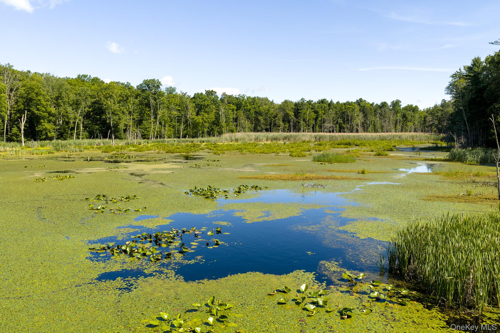 Diverse Landscape with Potential