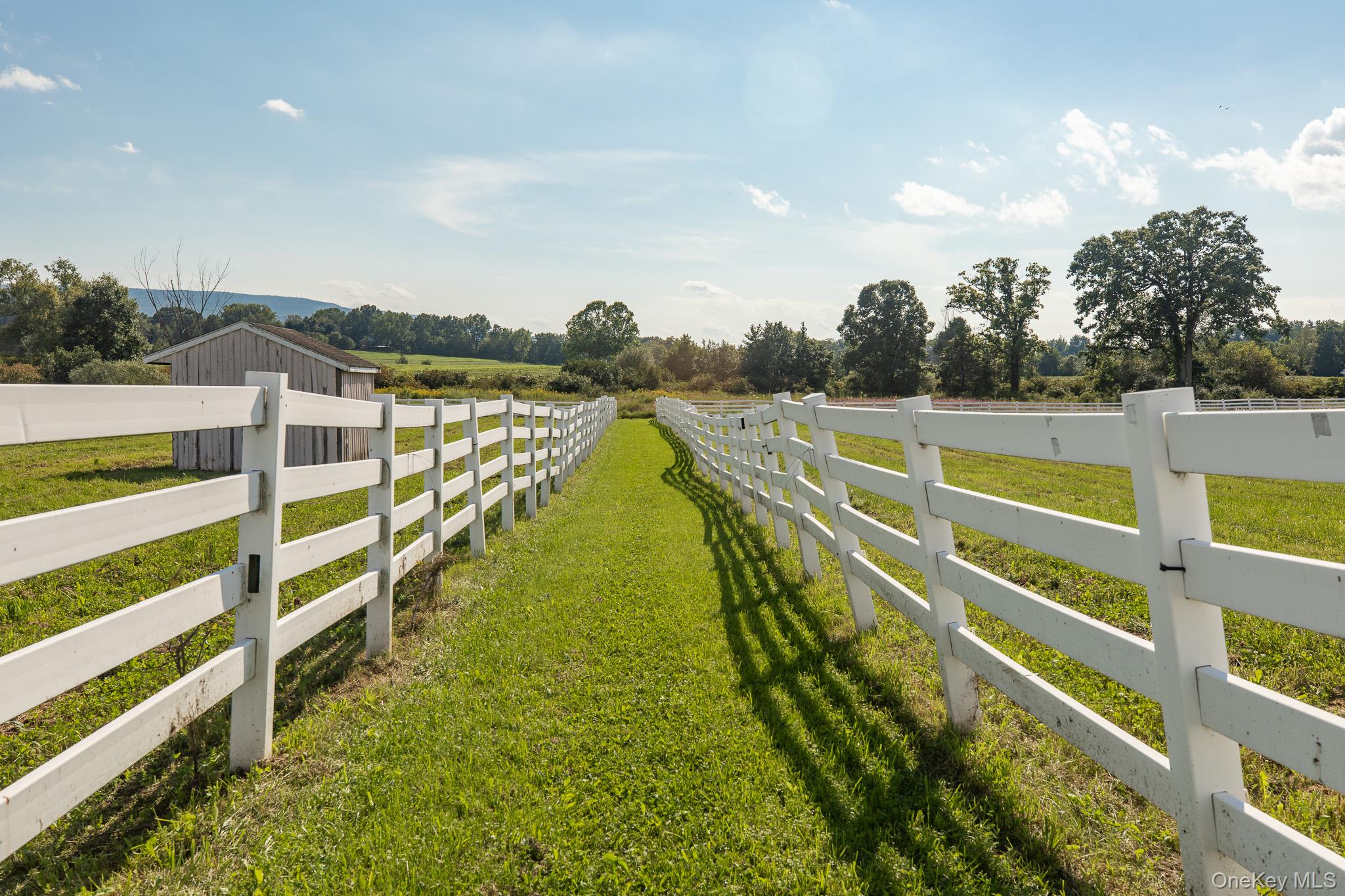Pastoral Paradise