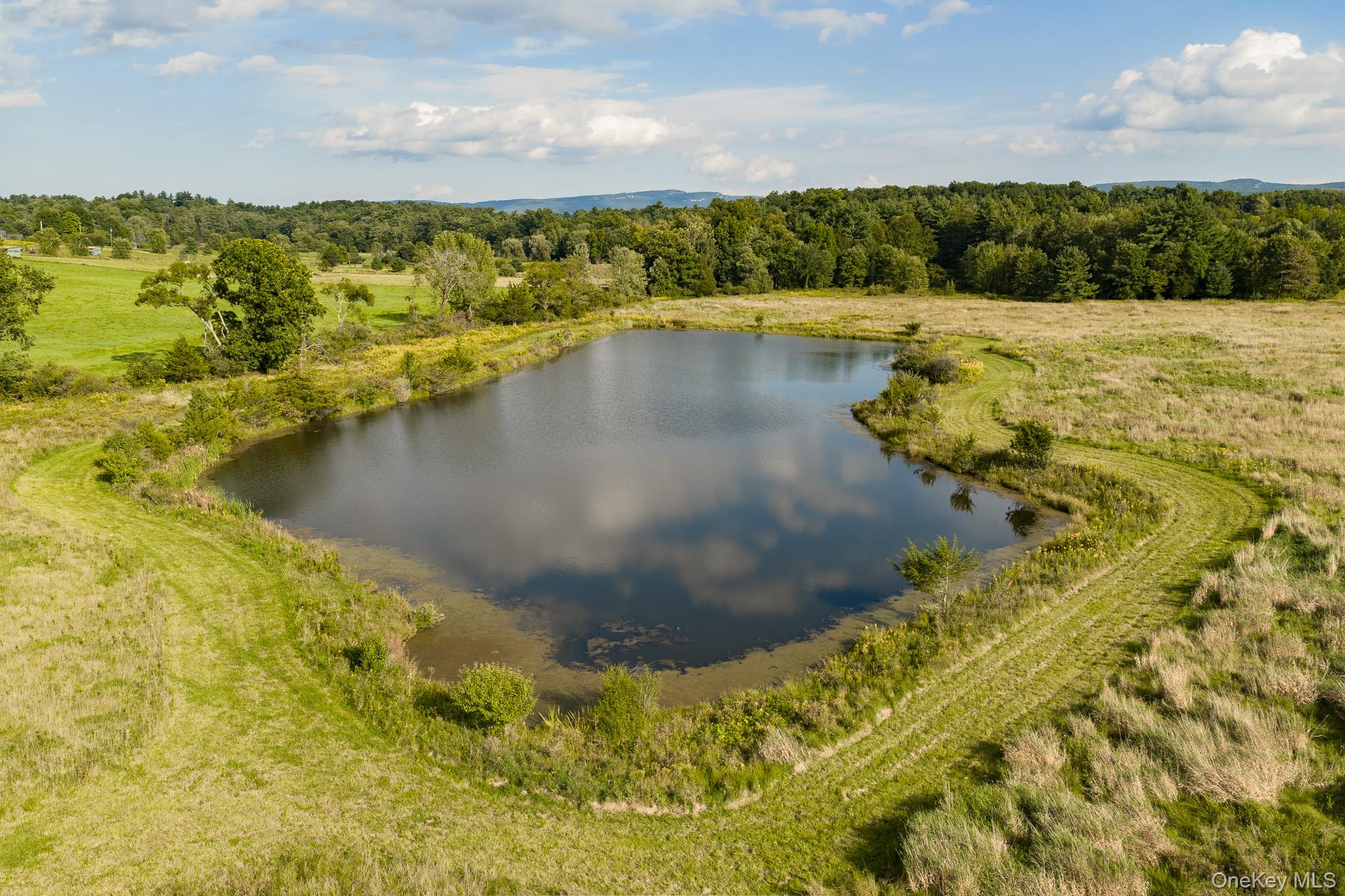 Pastoral Paradise