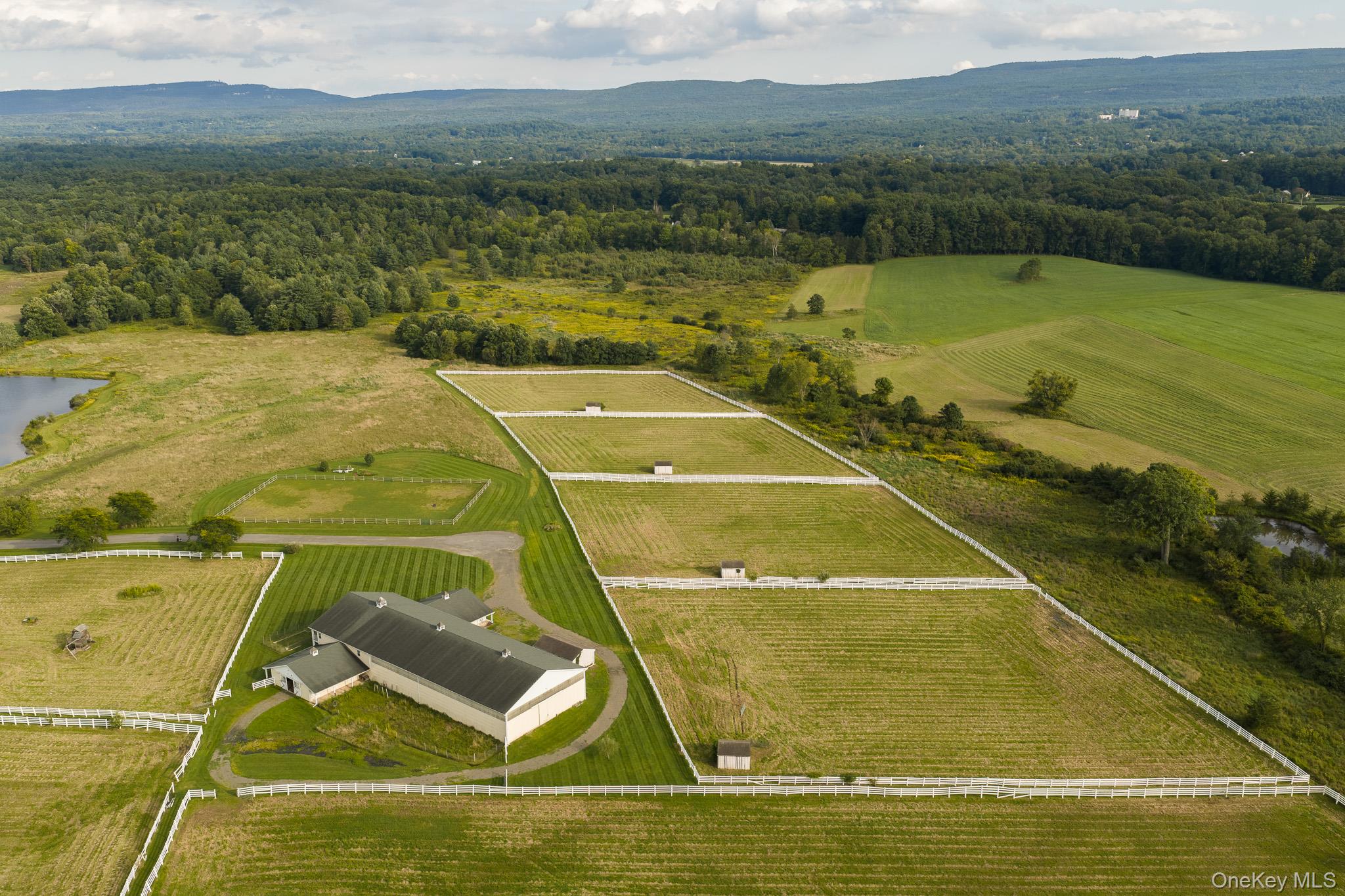 Pastoral Paradise
