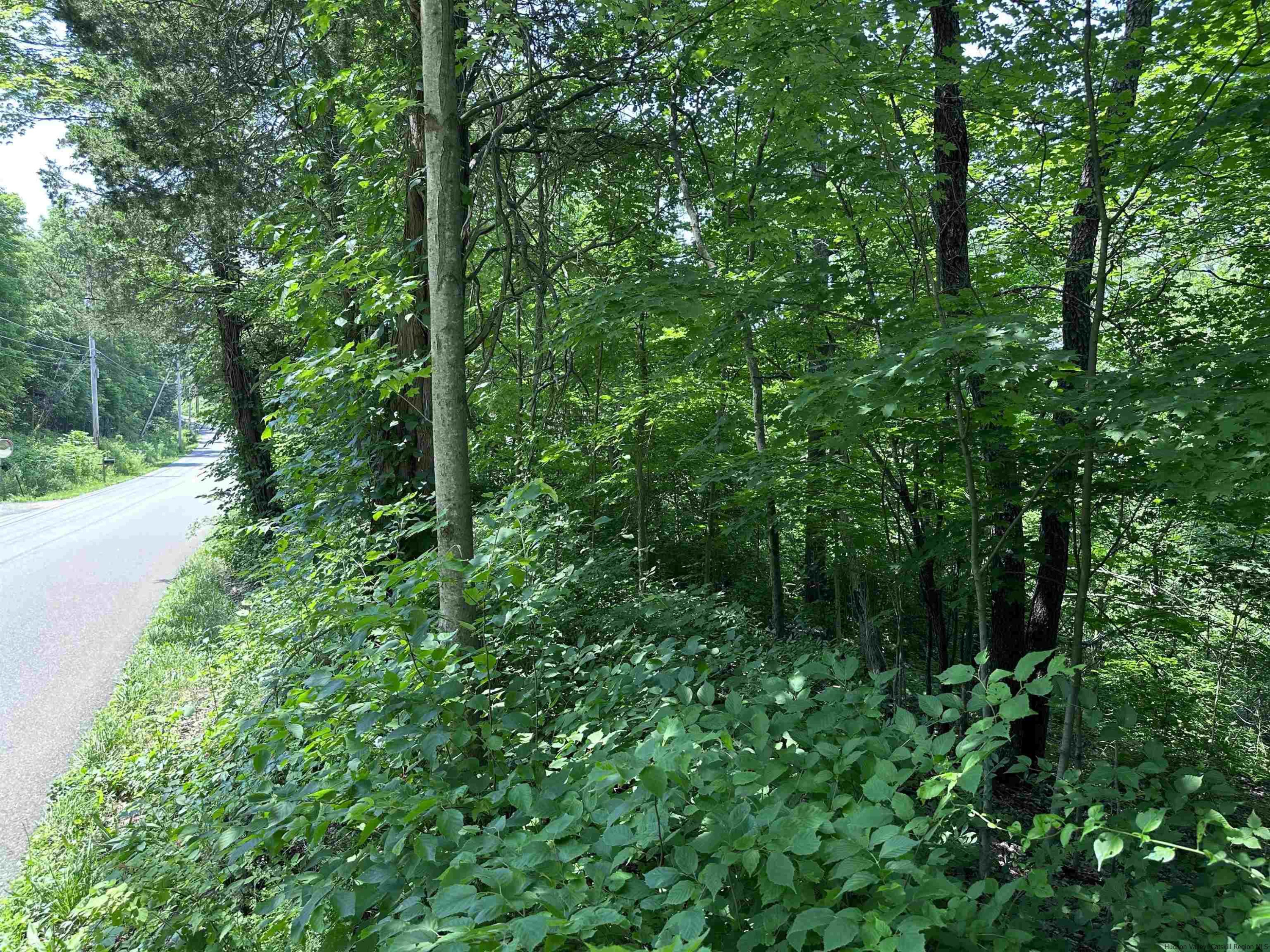 Buildable Lot - Walking Distance to Town