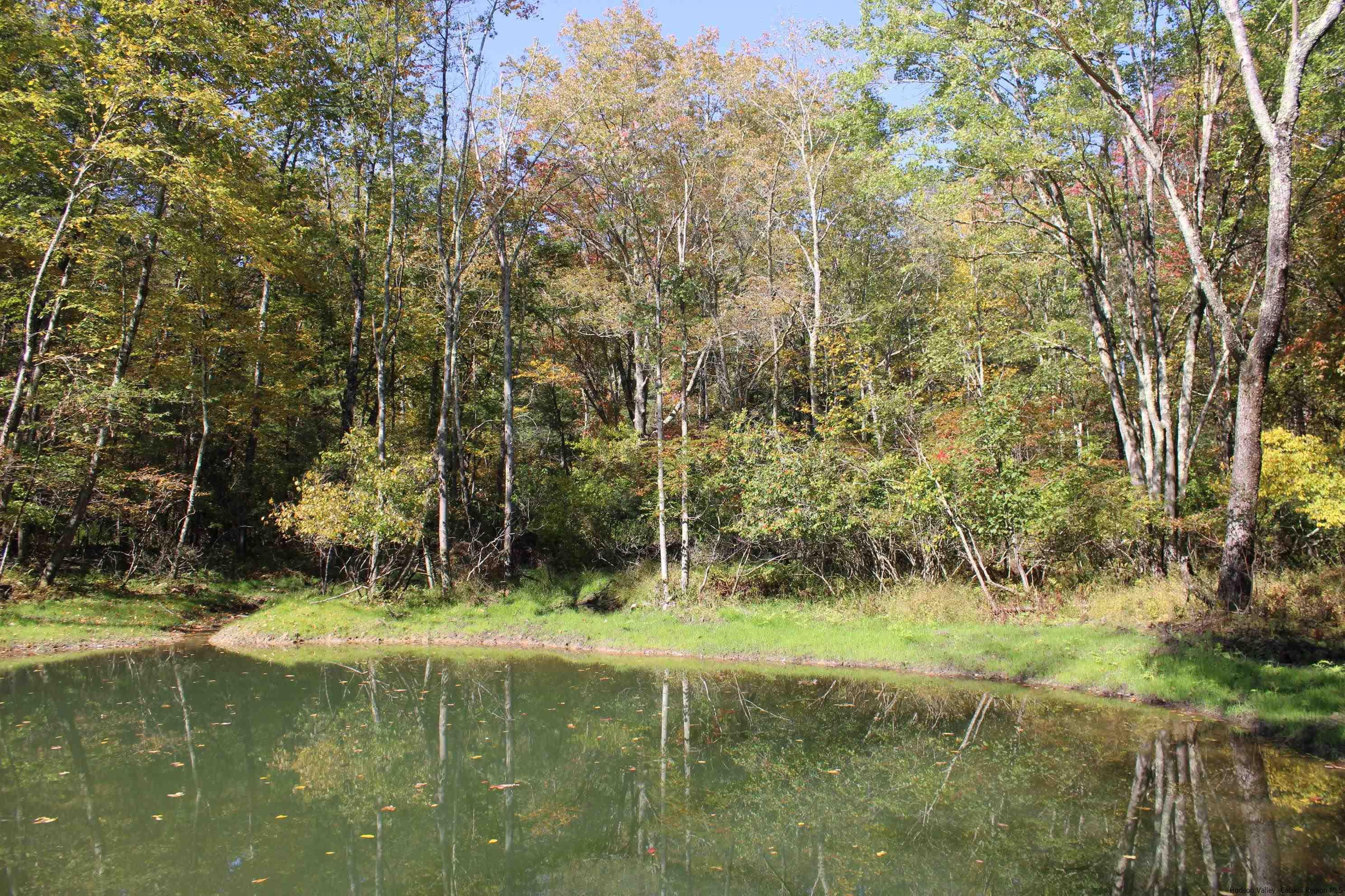 4-Acre Buildable Lot