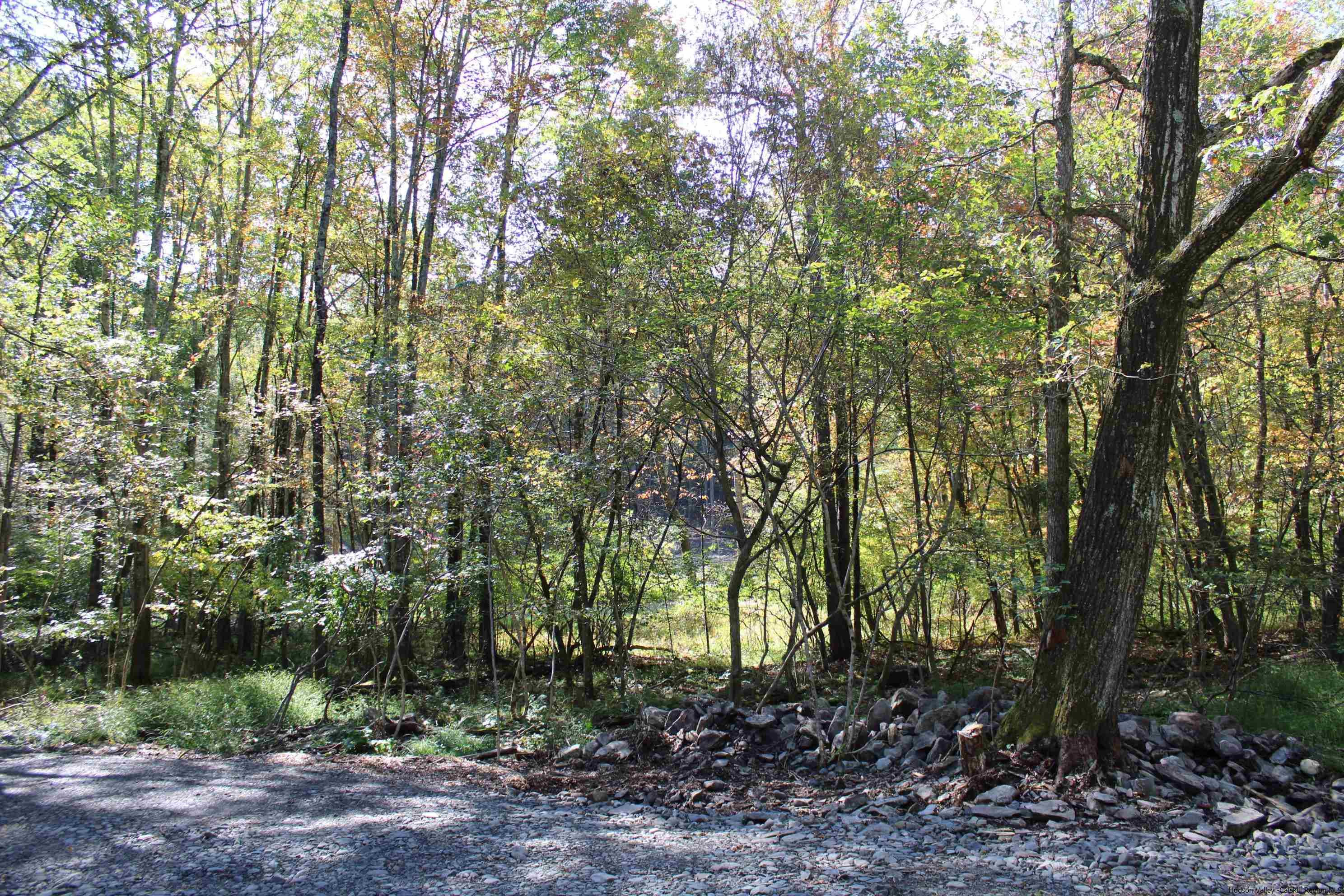 4-Acre Buildable Lot