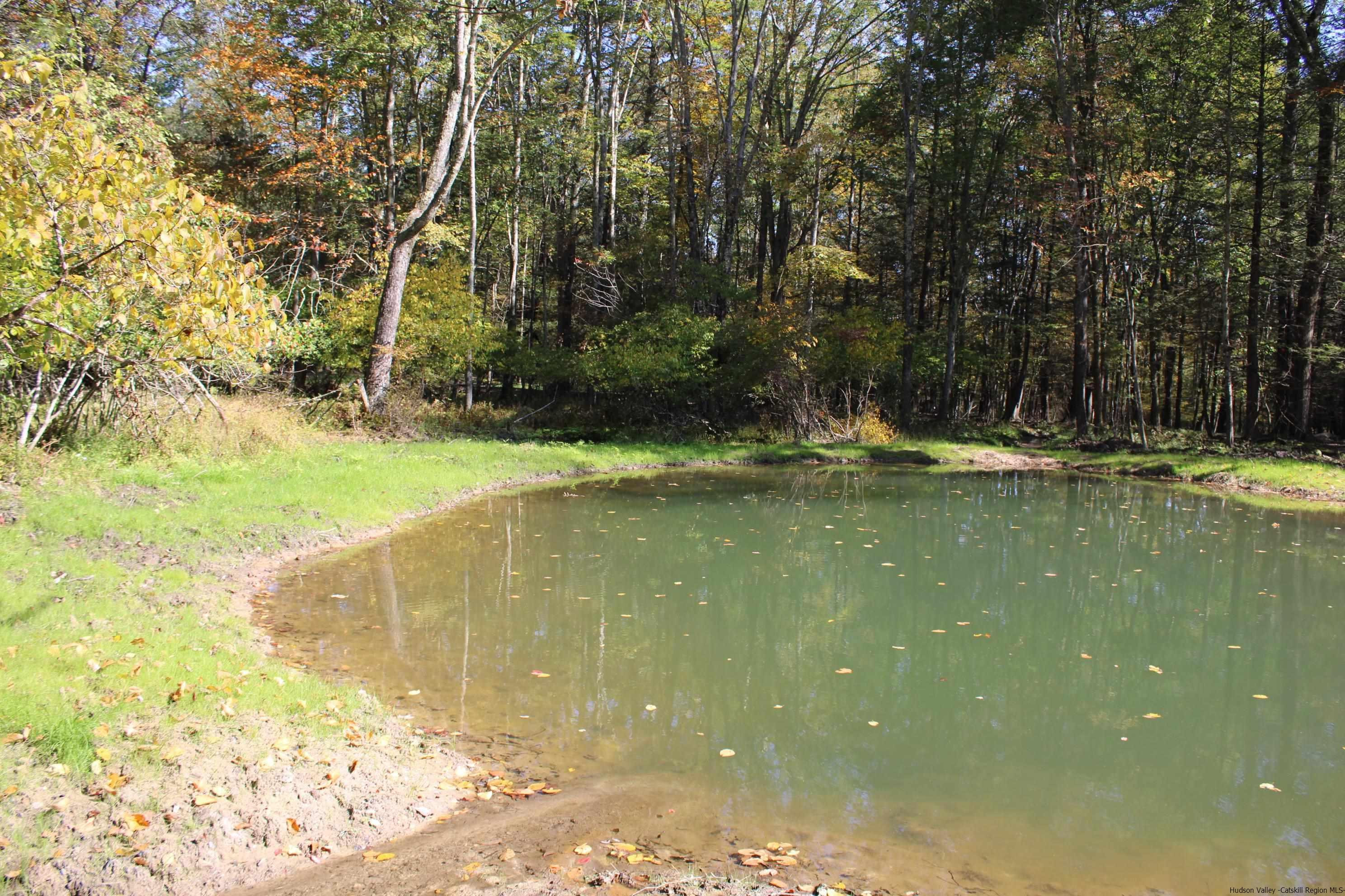 4-Acre Buildable Lot