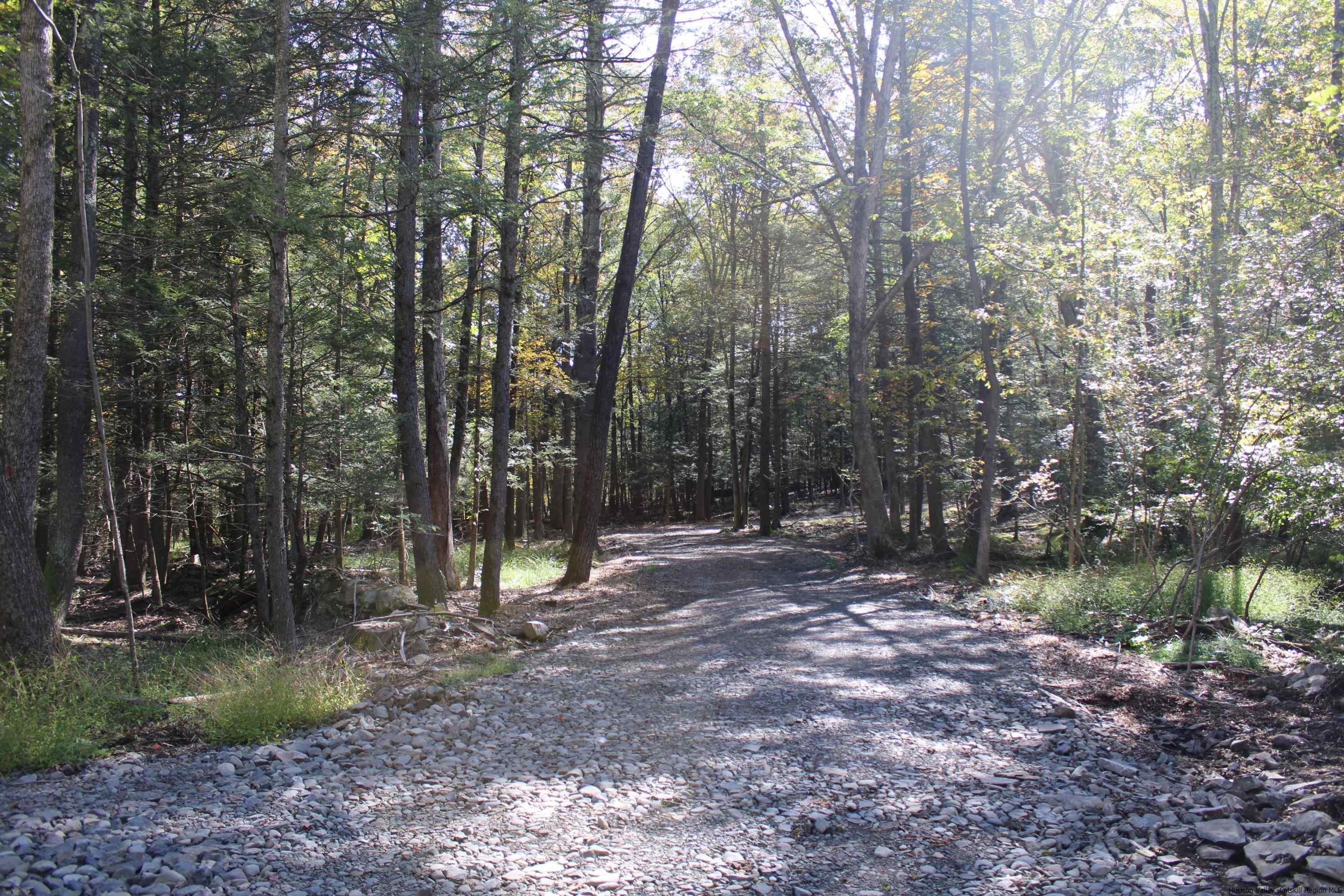 4-Acre Buildable Lot