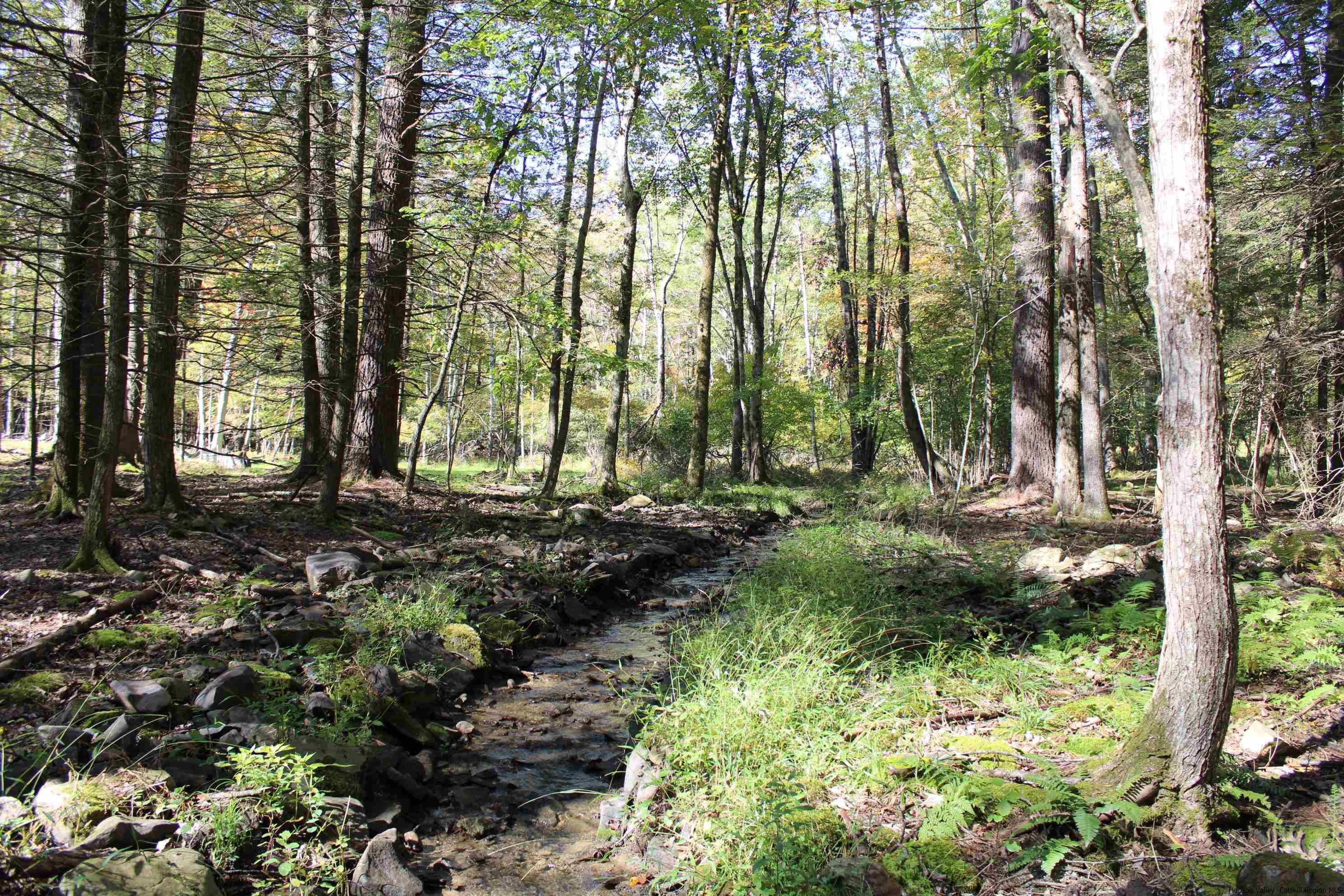 4-Acre Buildable Lot