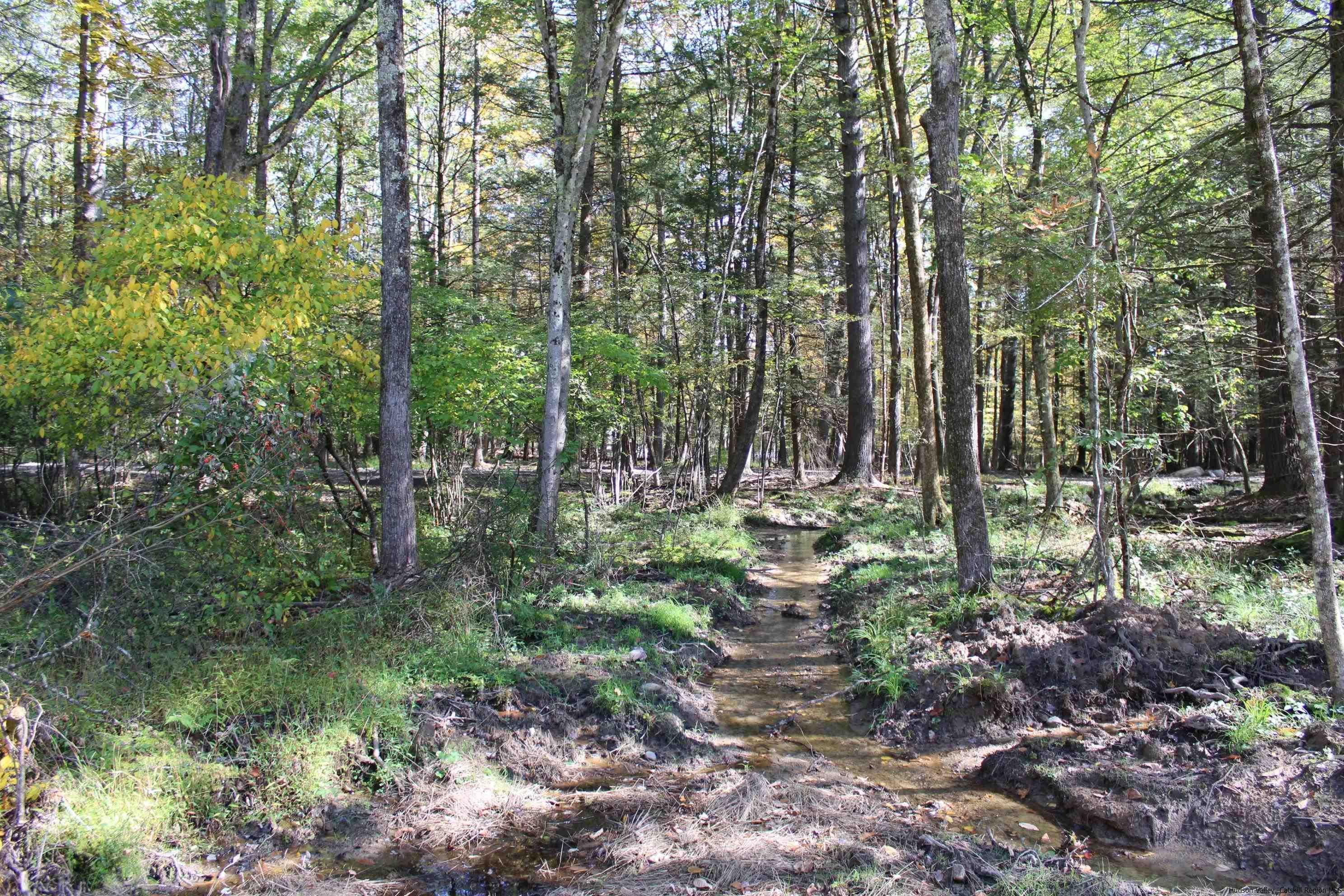 4-Acre Buildable Lot