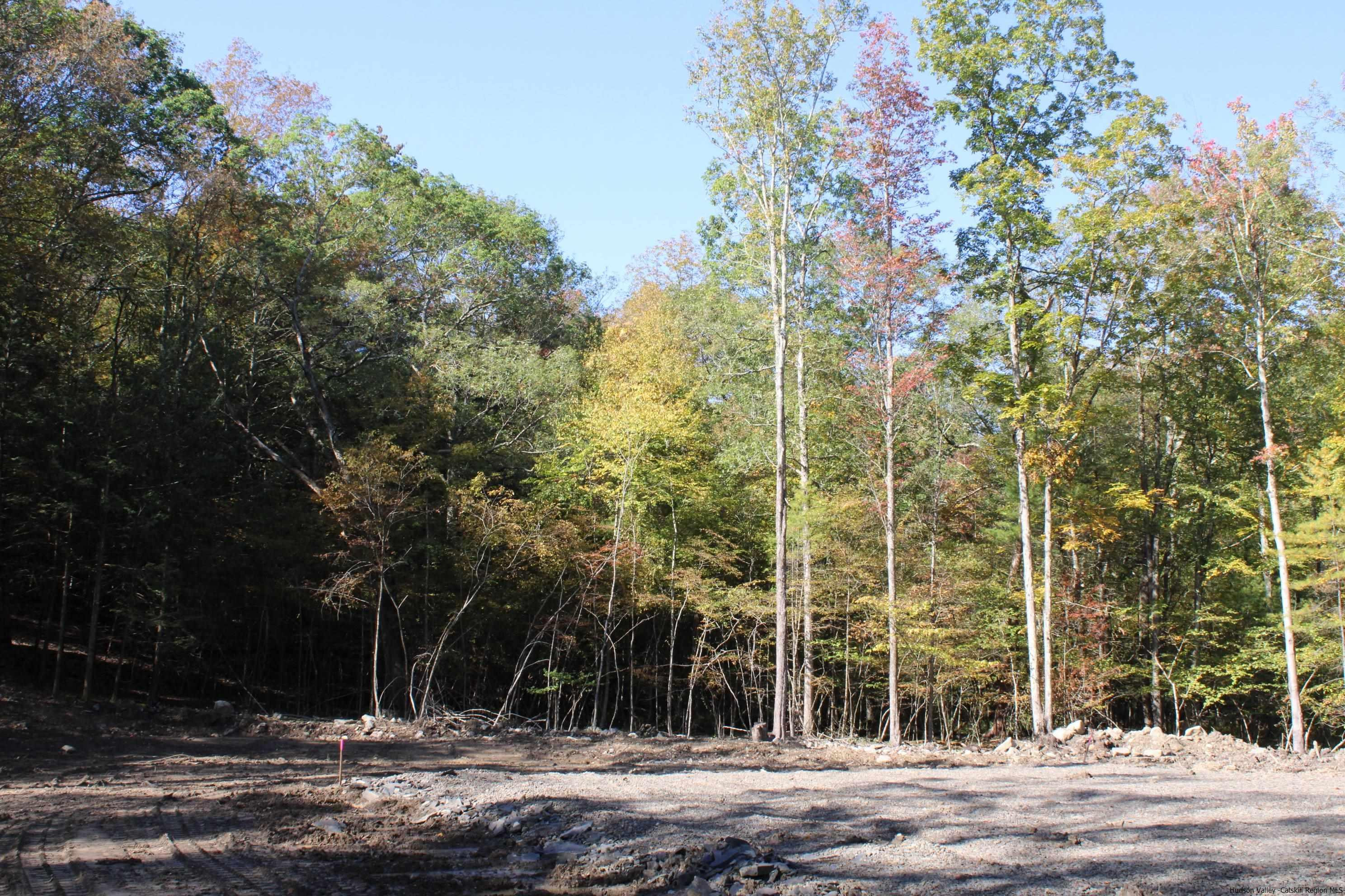 4-Acre Buildable Lot