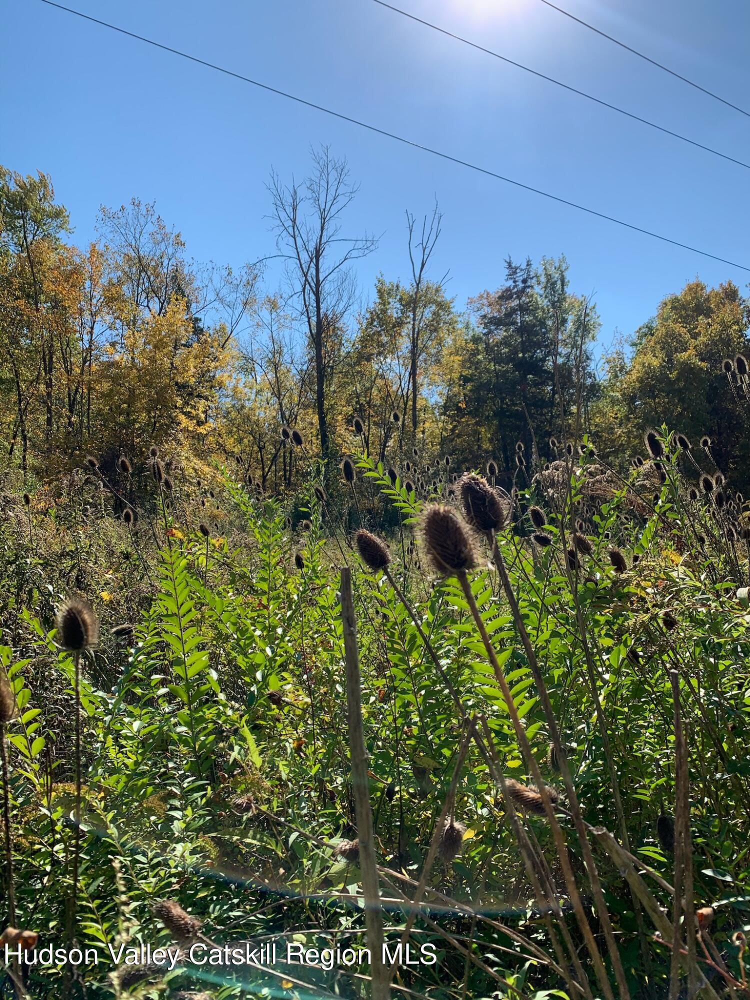 2.2 acres in the Hamlet of Accord 