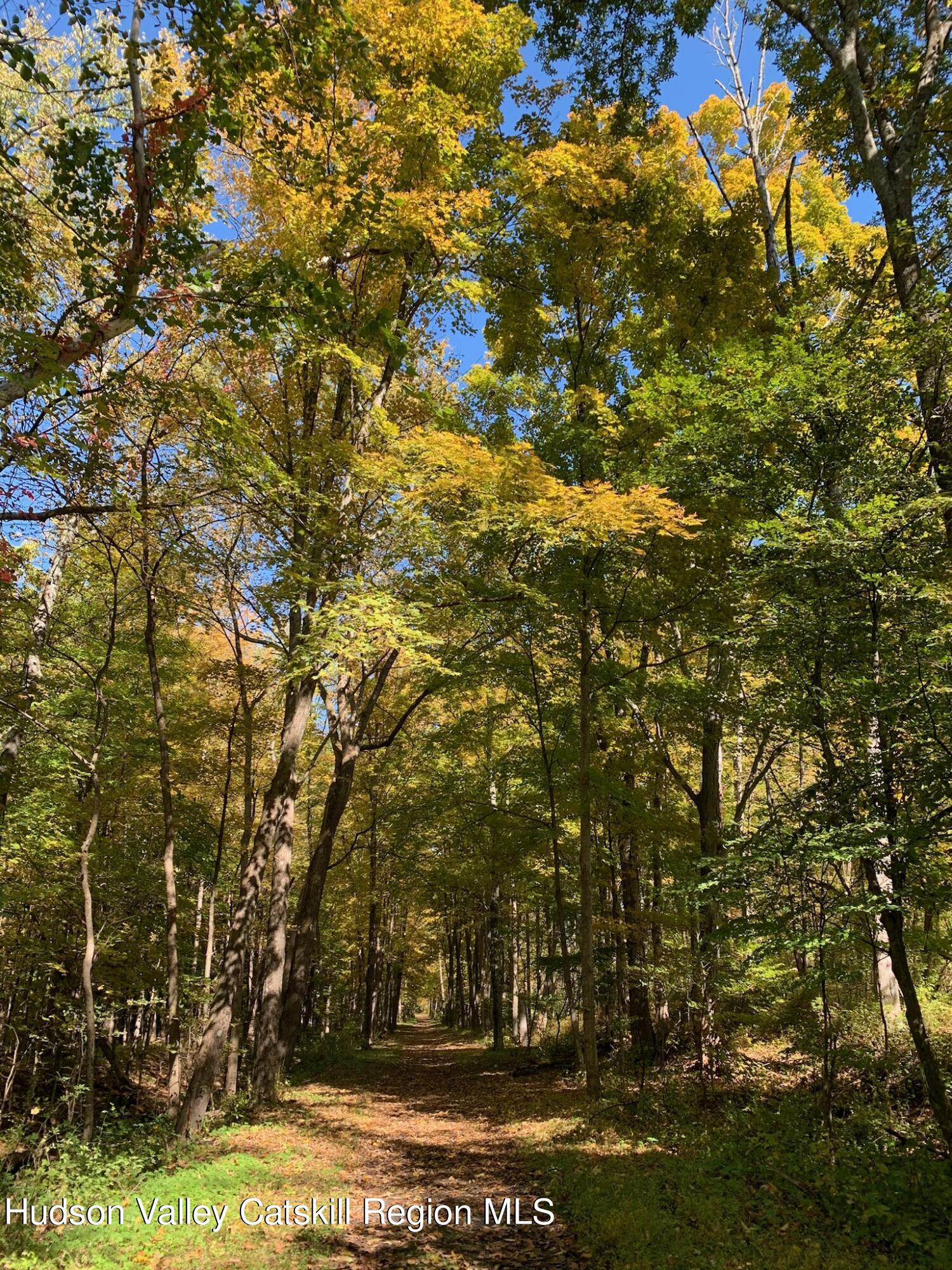 2.2 acres in the Hamlet of Accord 
