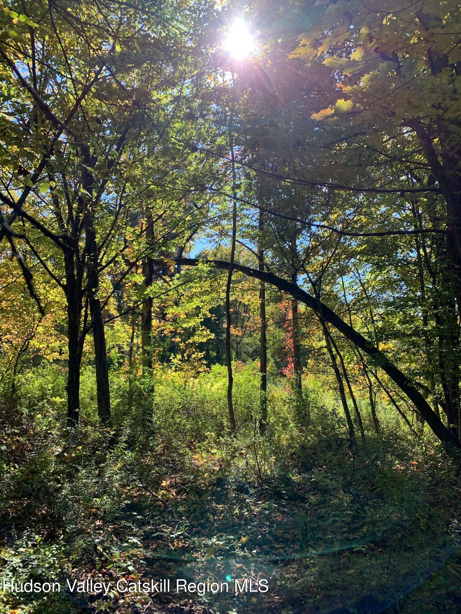 2.2 acres in the Hamlet of Accord 