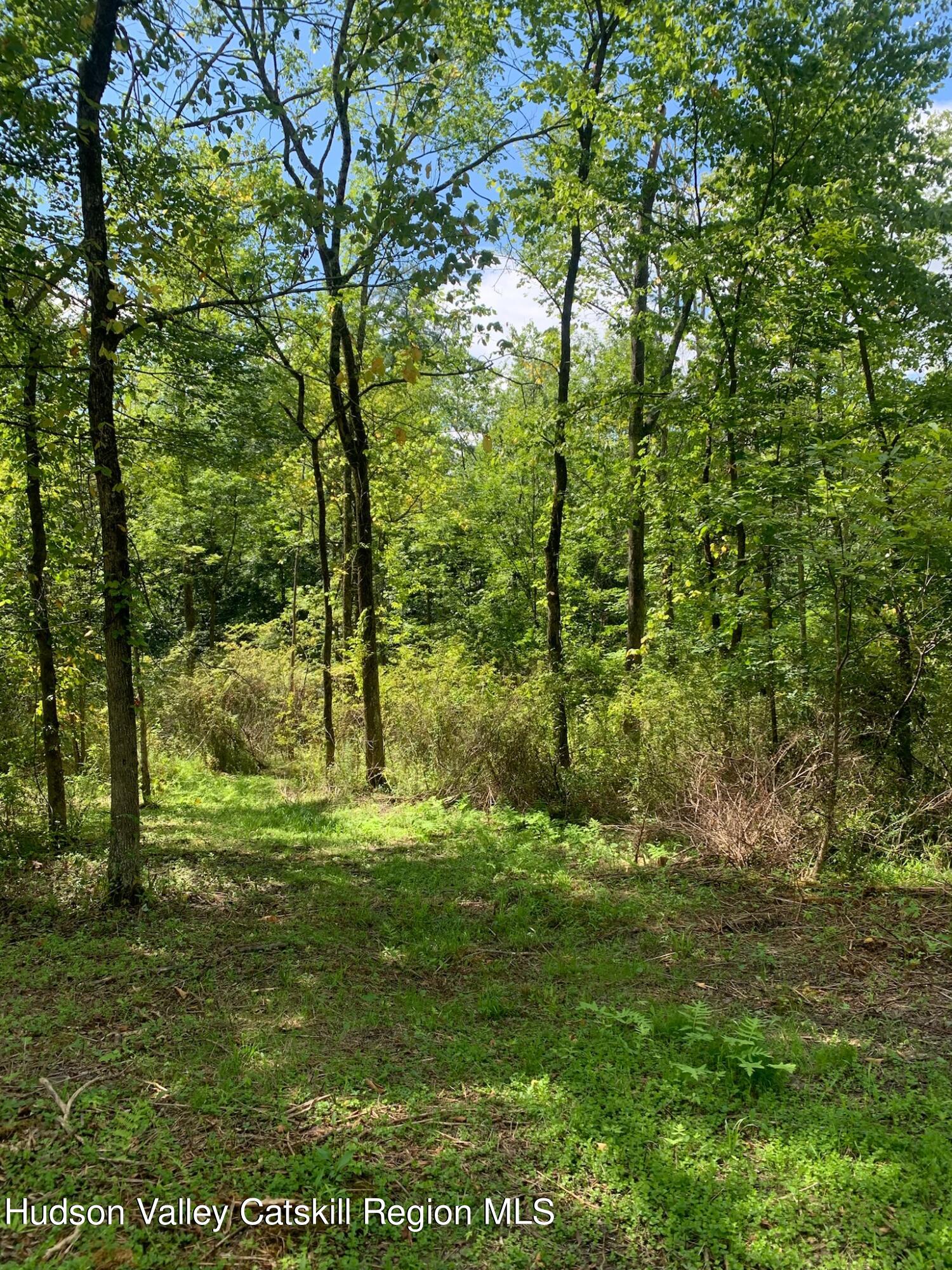 2.2 acres in the Hamlet of Accord 