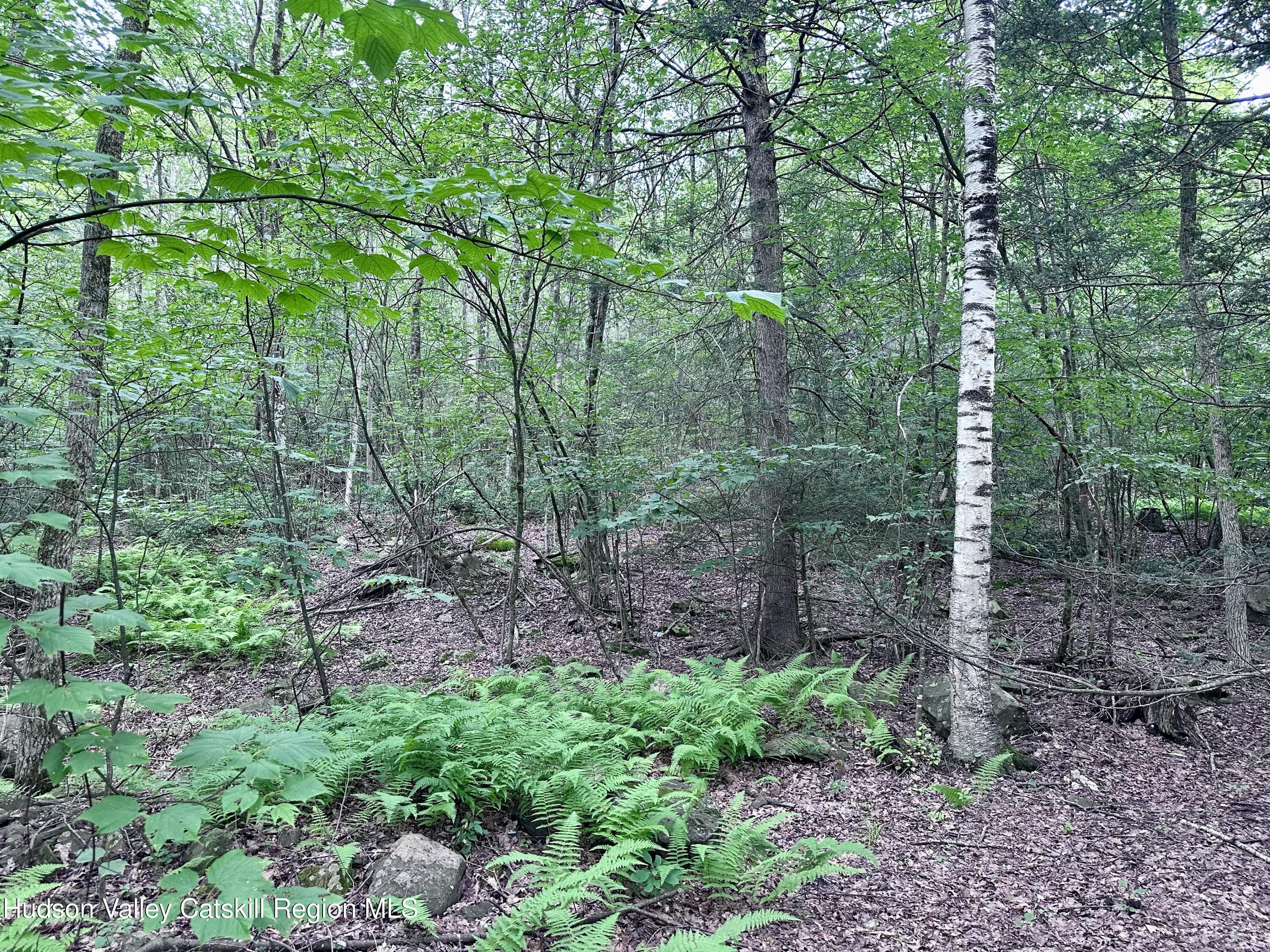 Private Building Lot