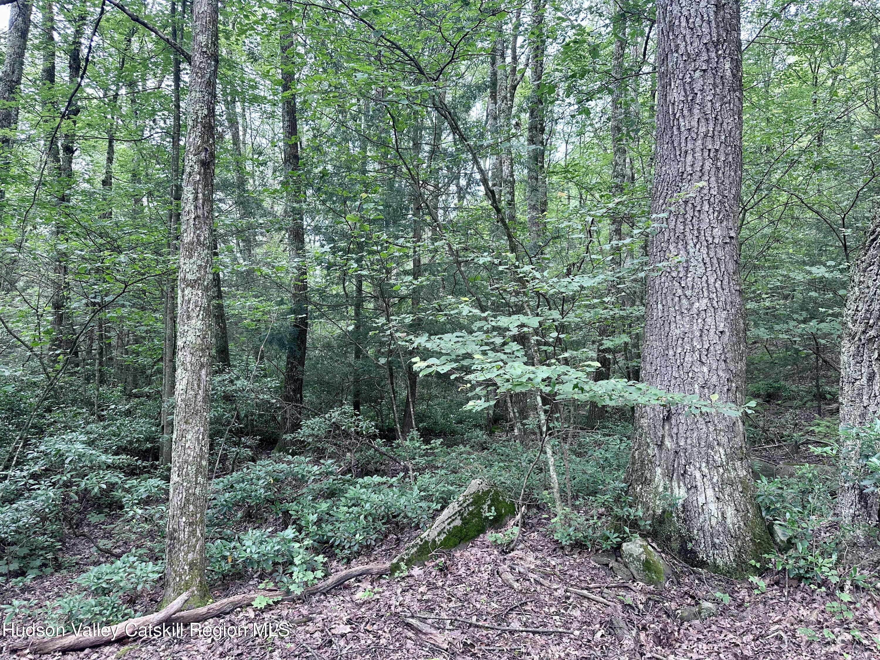 Private Building Lot