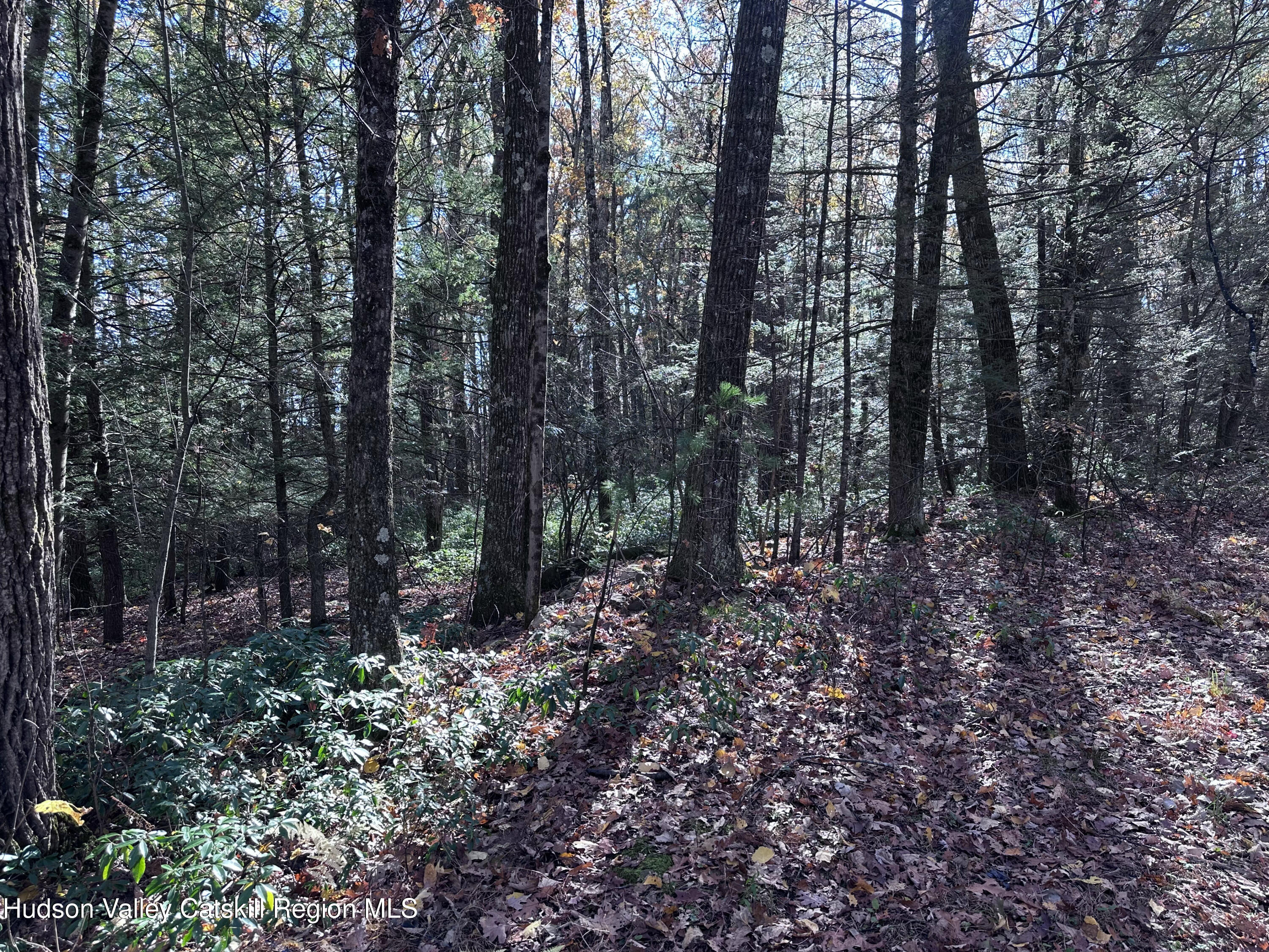 Lot 2 Upper Cherrytown Road