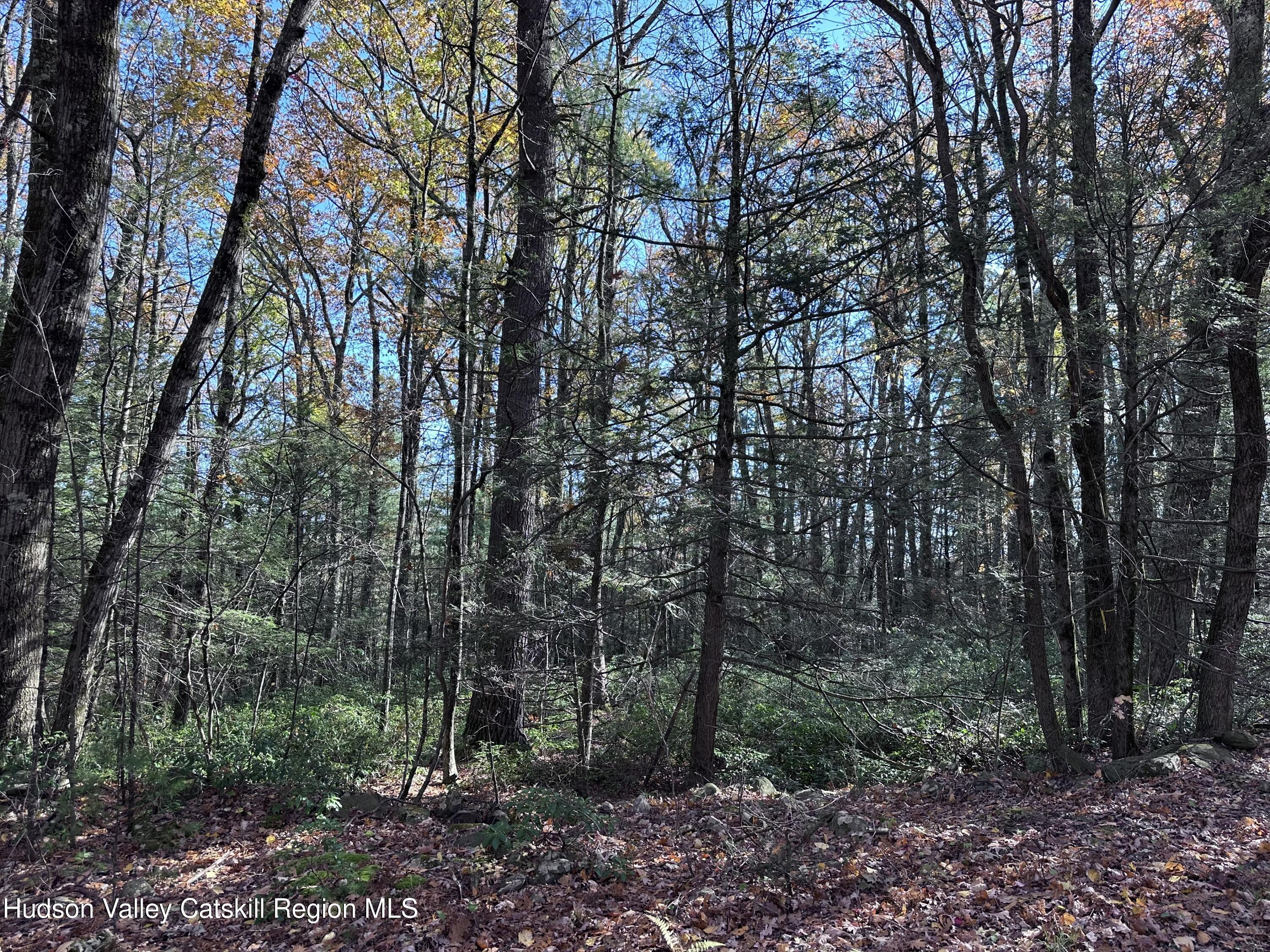 Lot 2 Upper Cherrytown Road