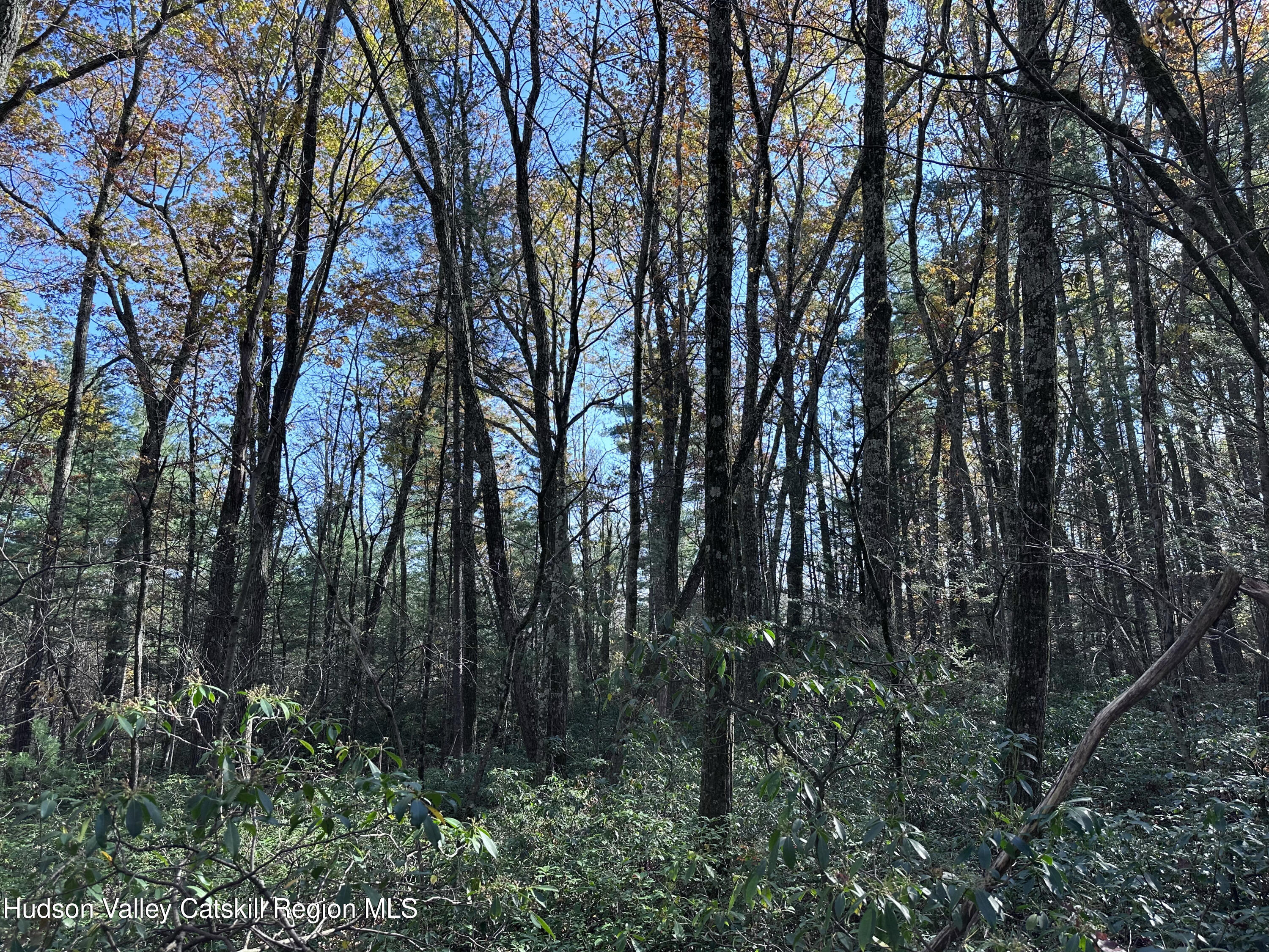 Lot 2 Upper Cherrytown Road