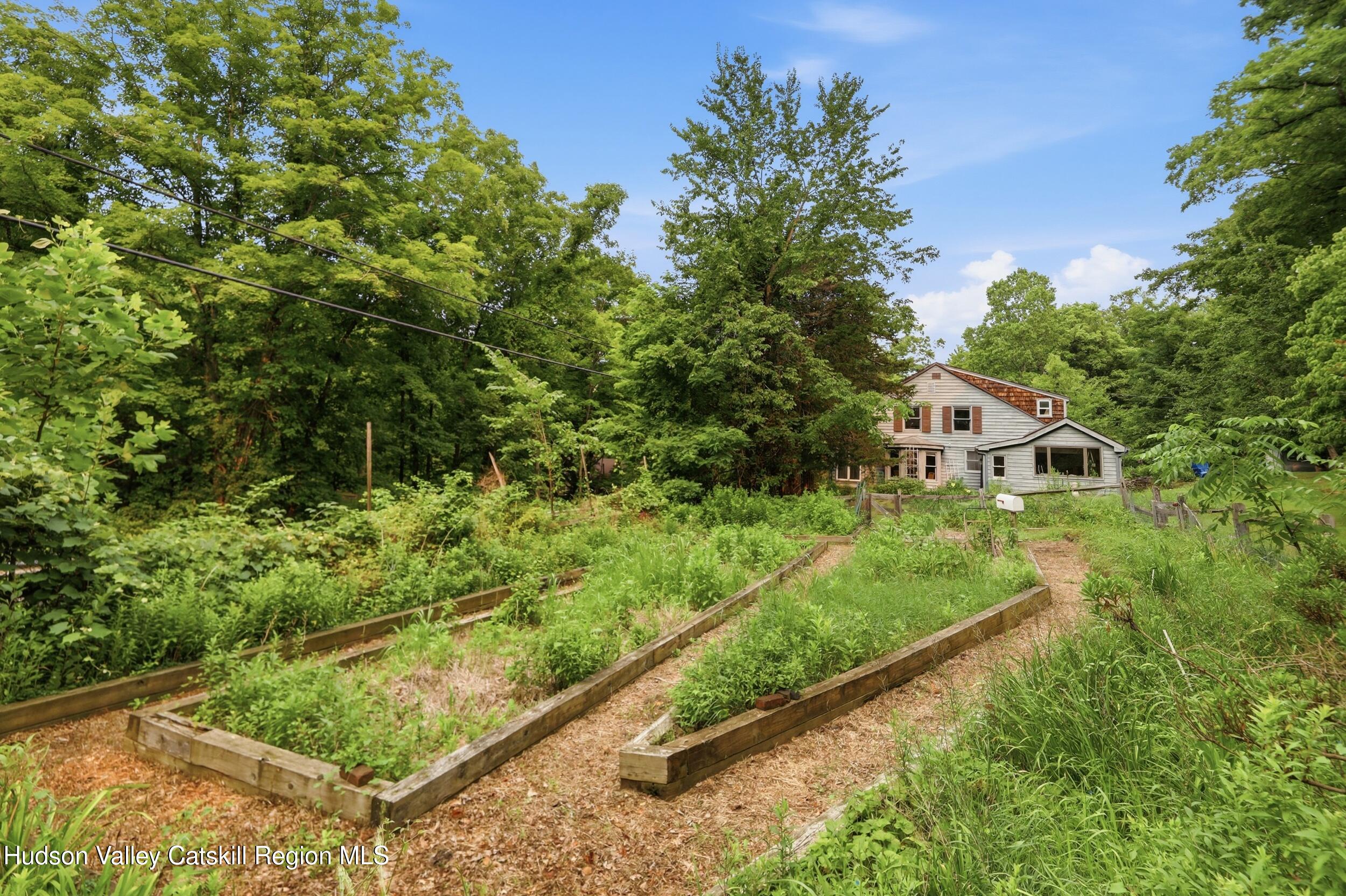 Lily House