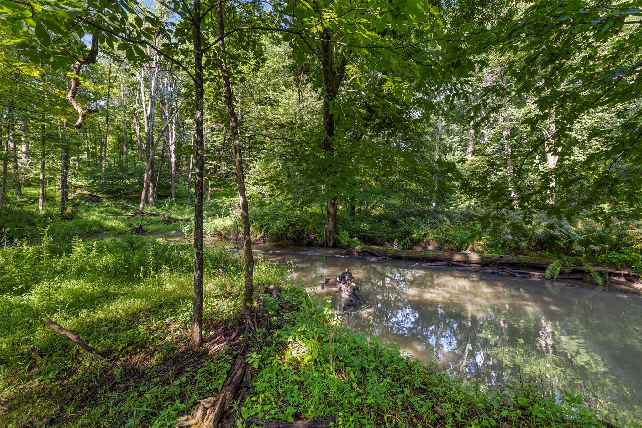 214 Whitfield Road
