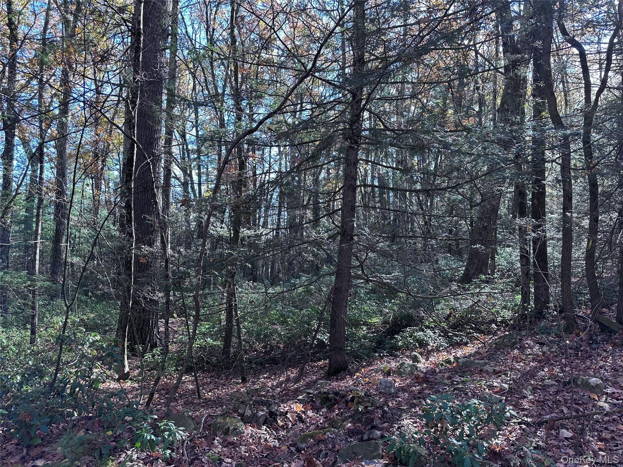 Lot 2 Upper Cherrytown Road