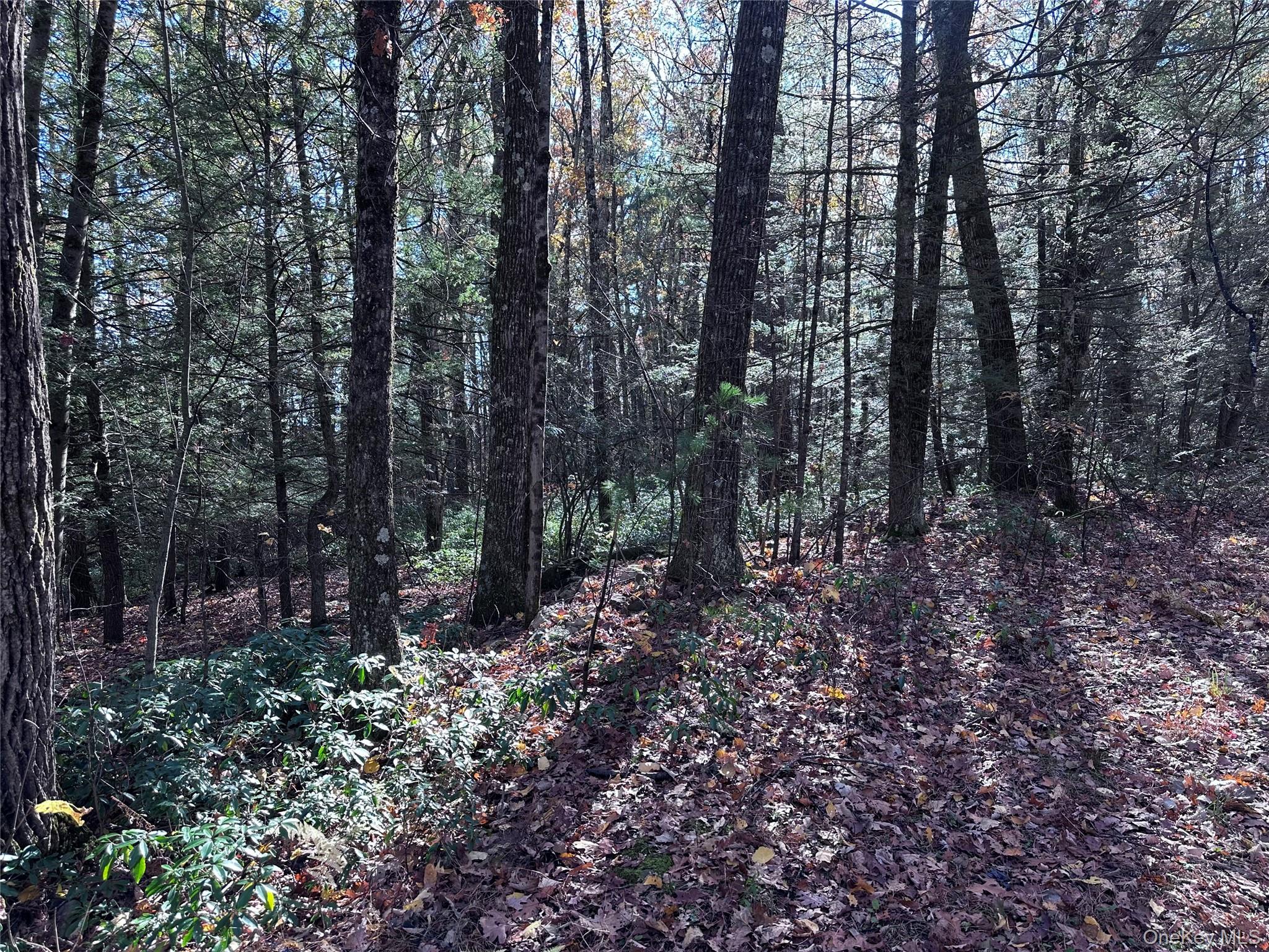 Lot 2 Upper Cherrytown Road