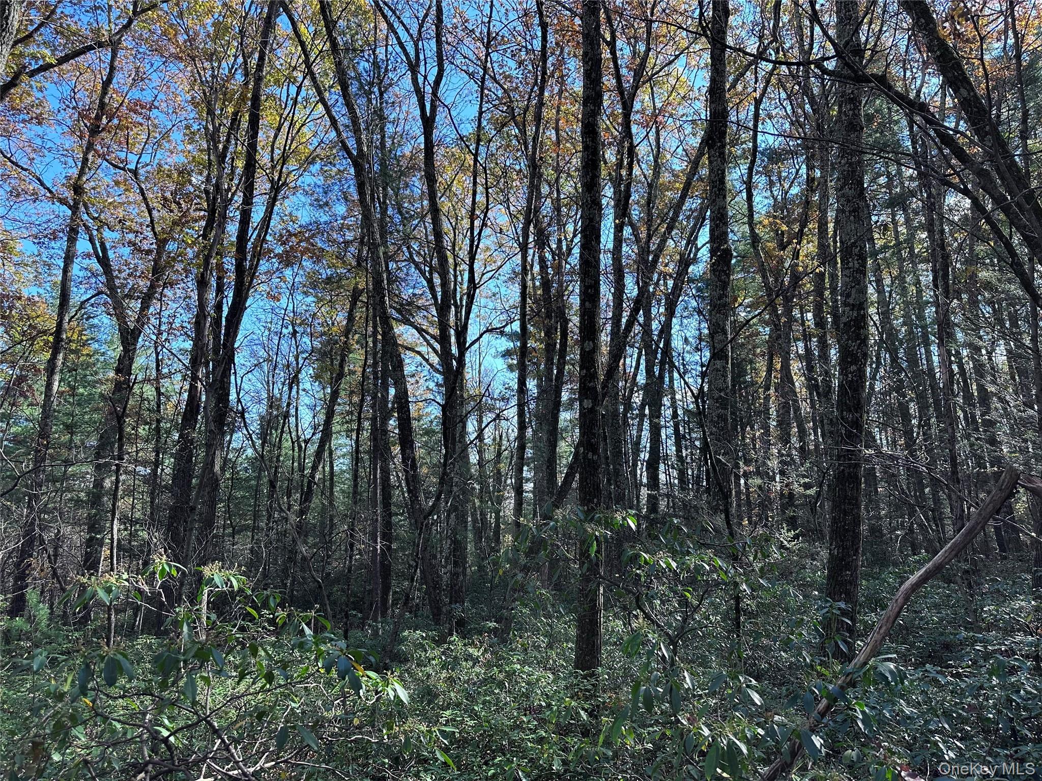 Lot 2 Upper Cherrytown Road