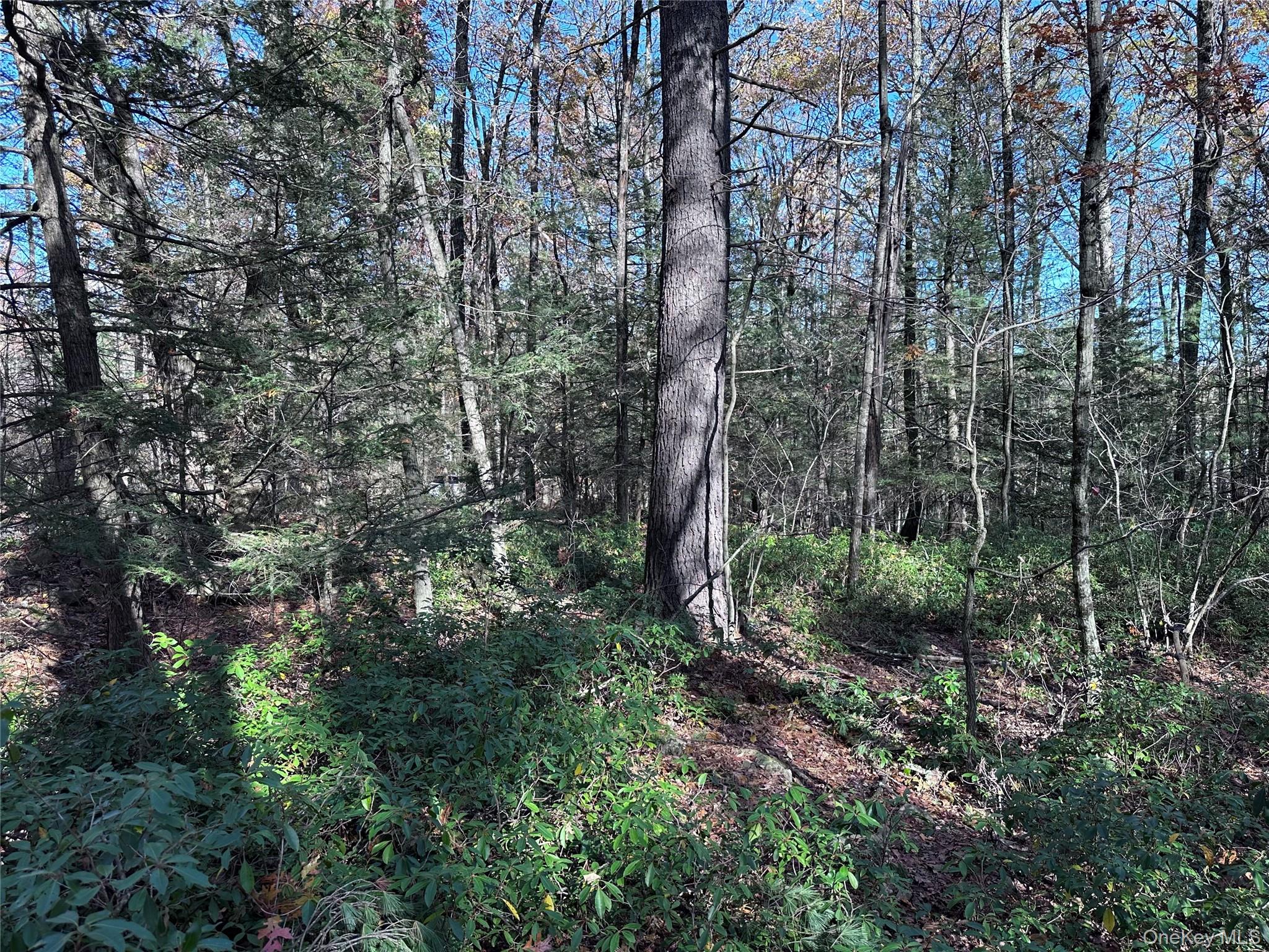 Lot 2 Upper Cherrytown Road