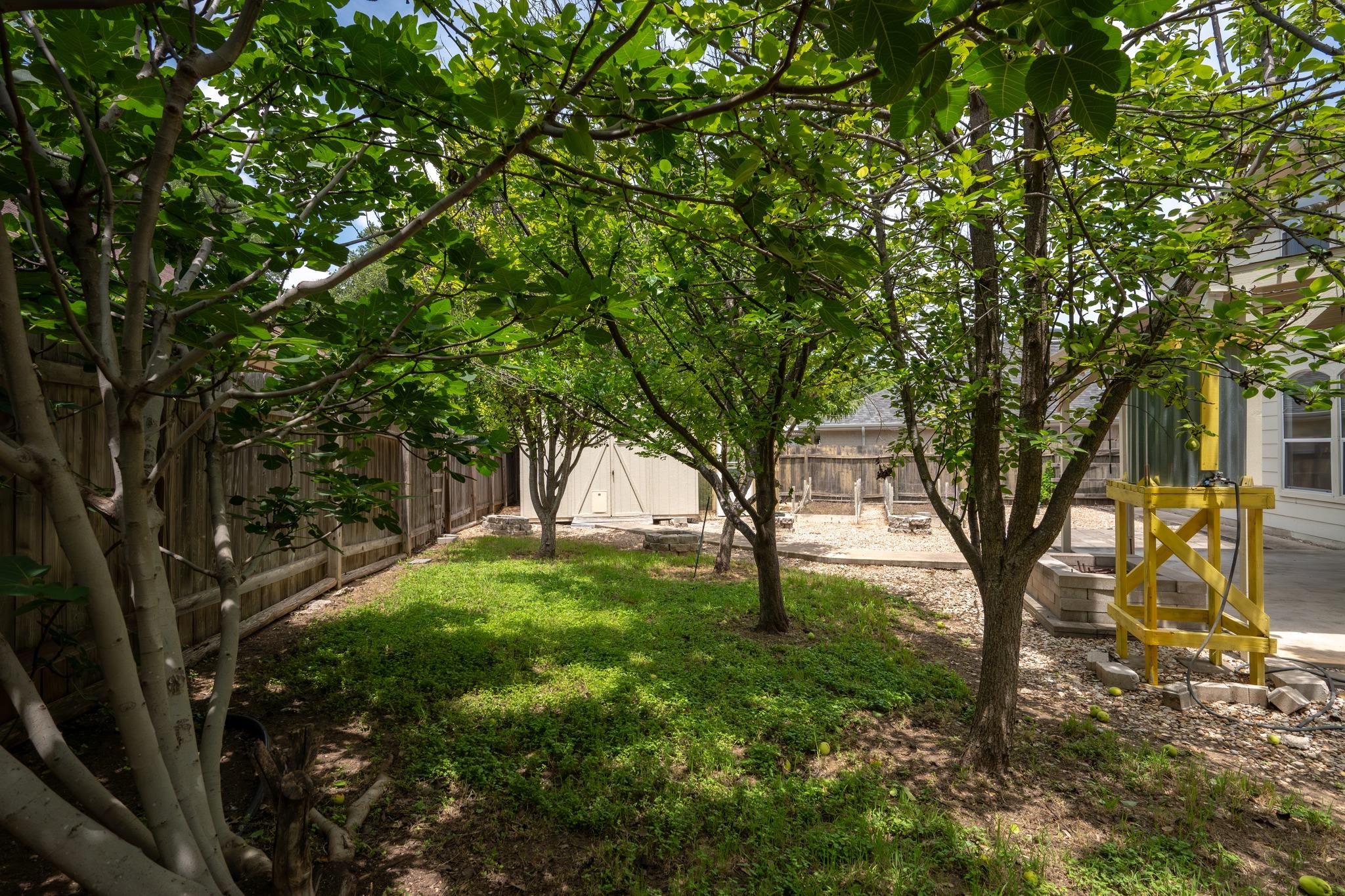2908 Sand Dollar DR
