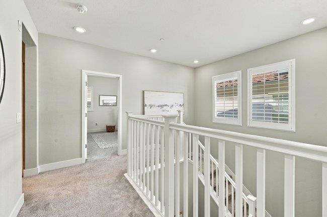 6963 Spumante WAY