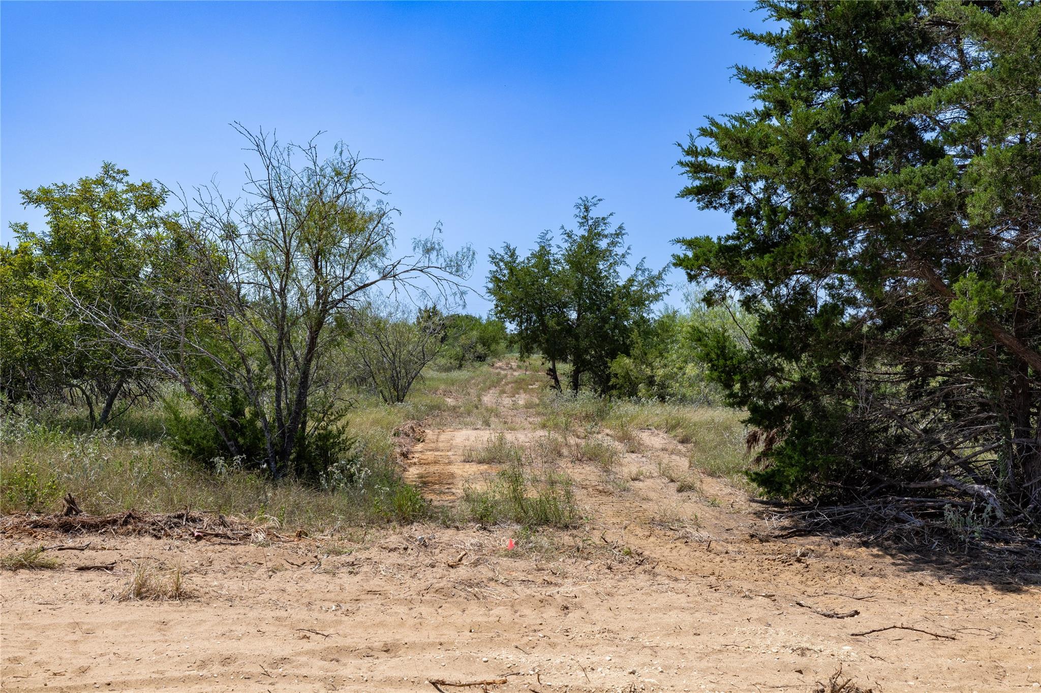 122 Tumbleweed TRL