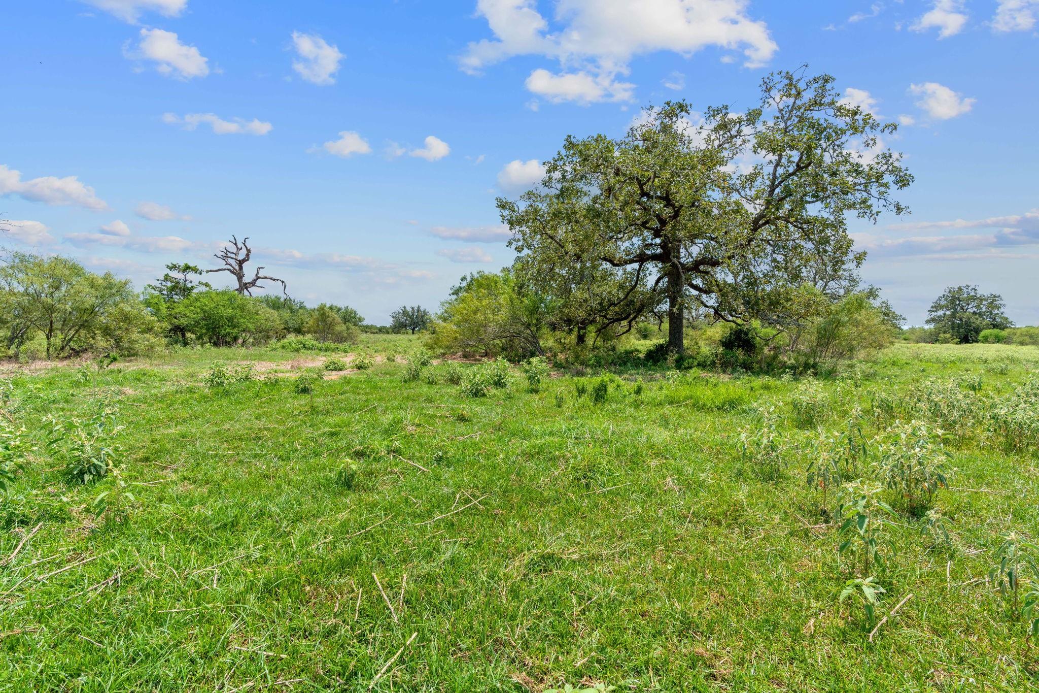 Lot 18 County Road 402