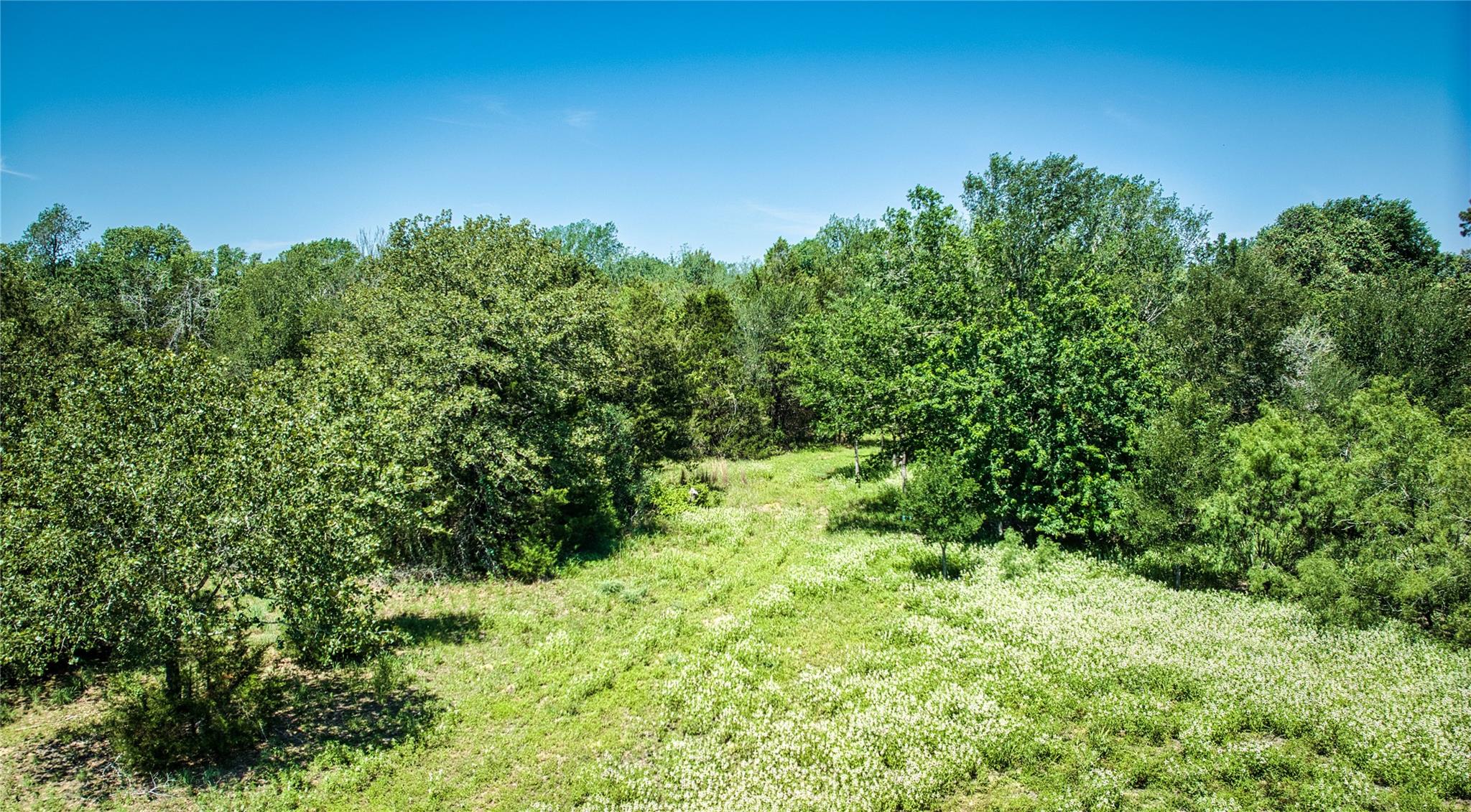 Lot 10C Foothill RD