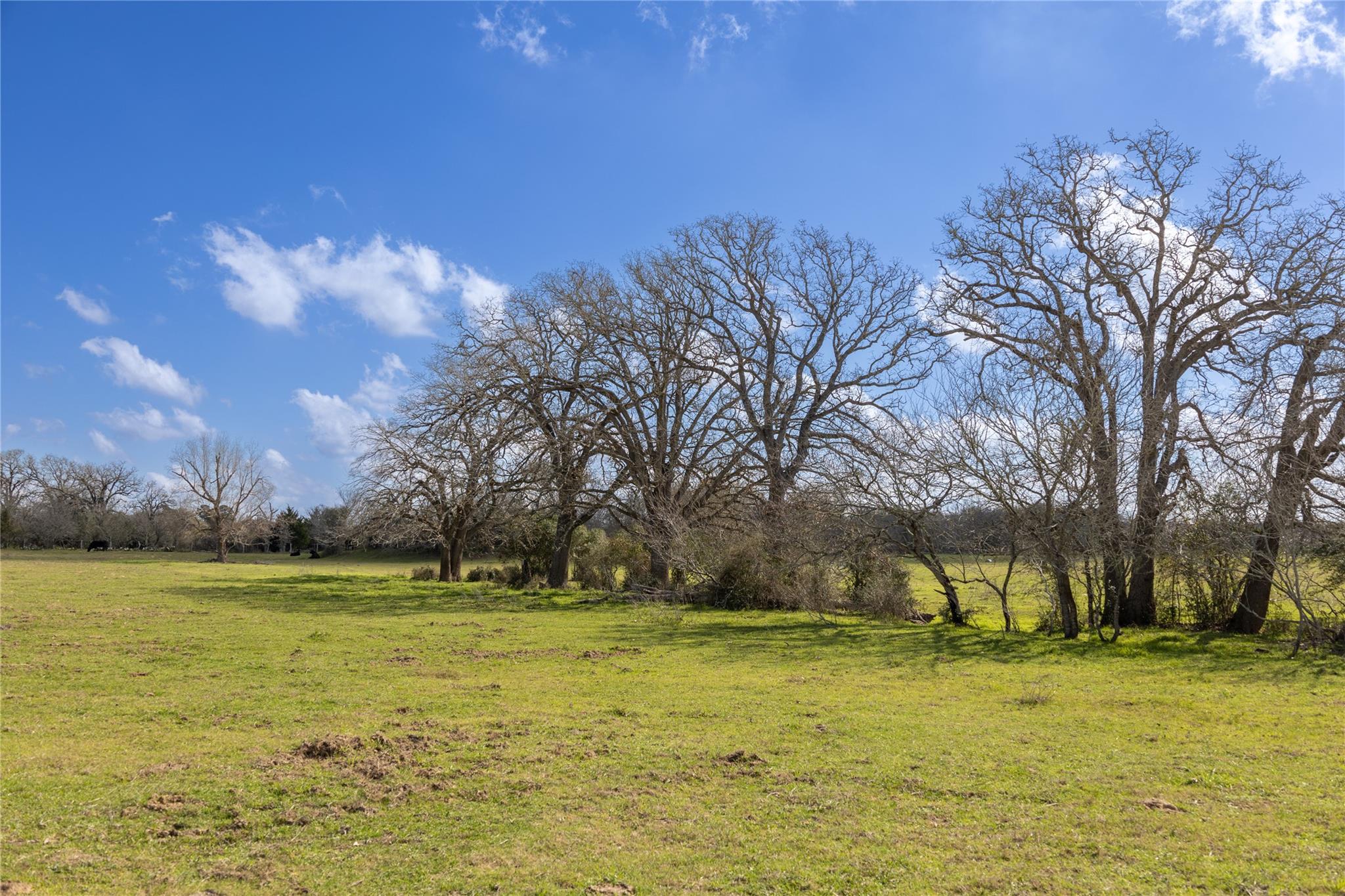 Lot 12 Mule Creek Road
