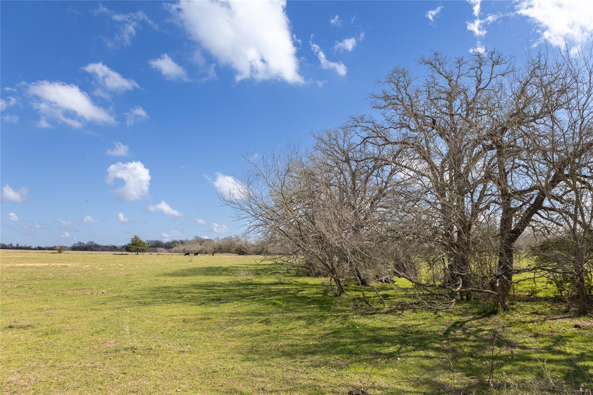 Lot 12 Mule Creek Road