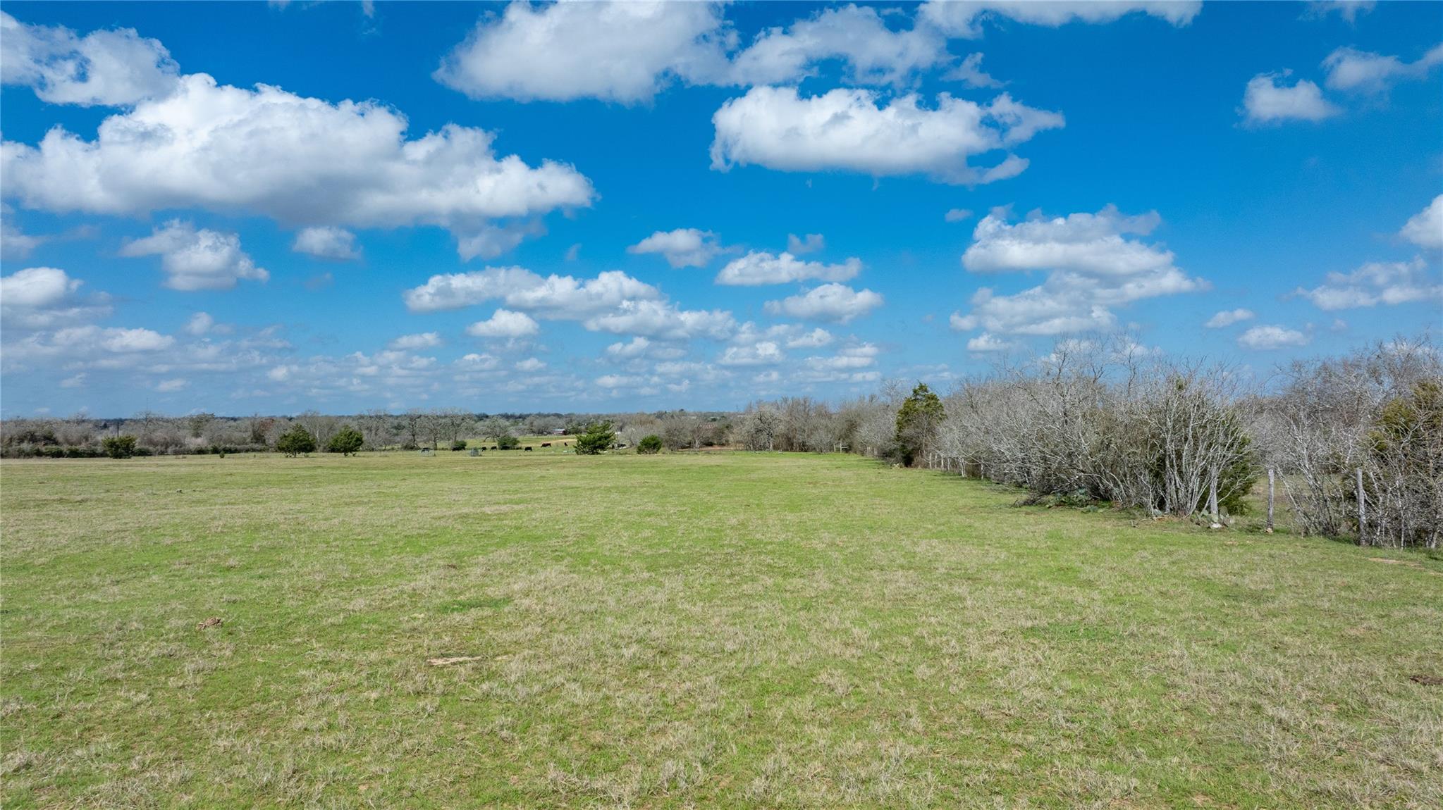 Lot 12 Mule Creek Road