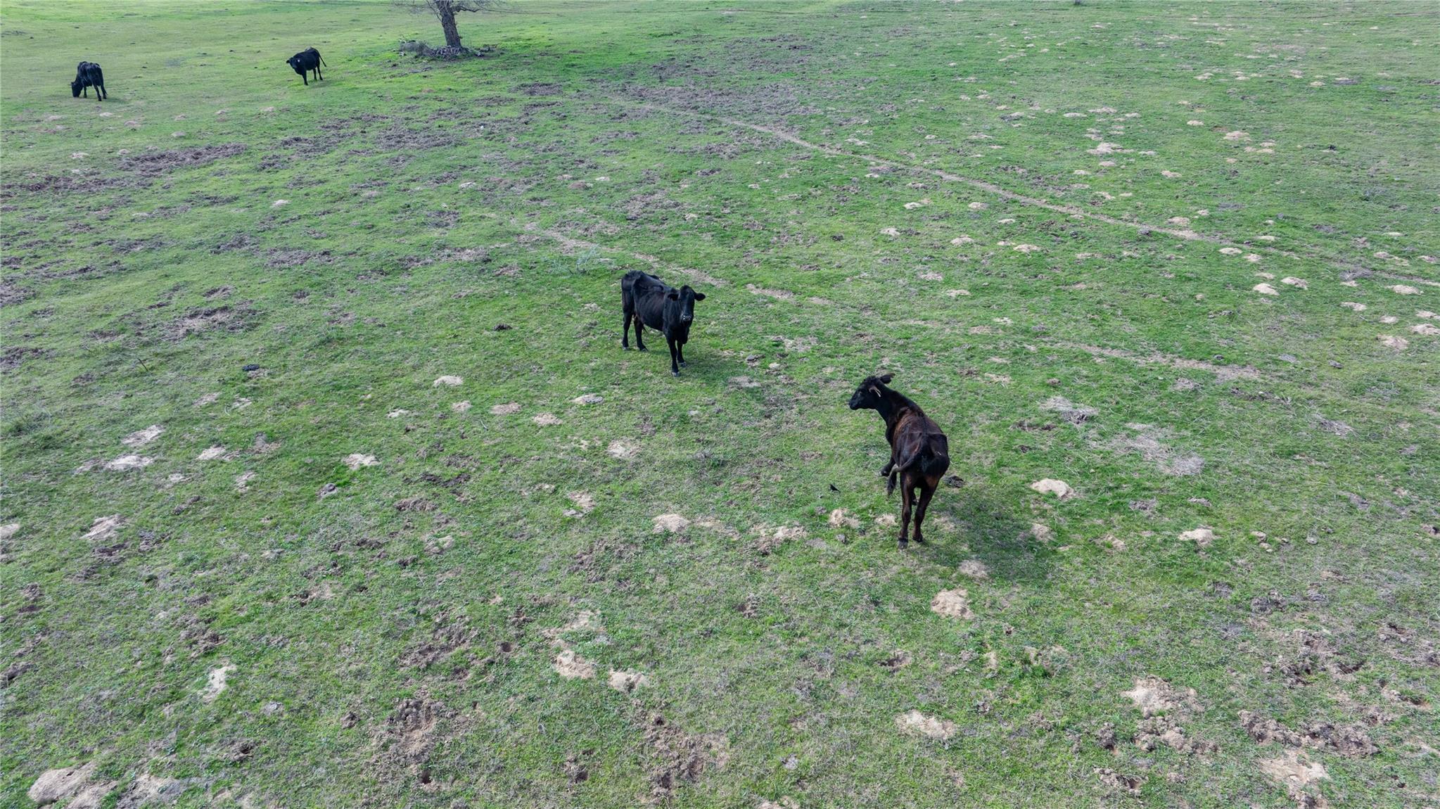 Lot 12 Mule Creek Road