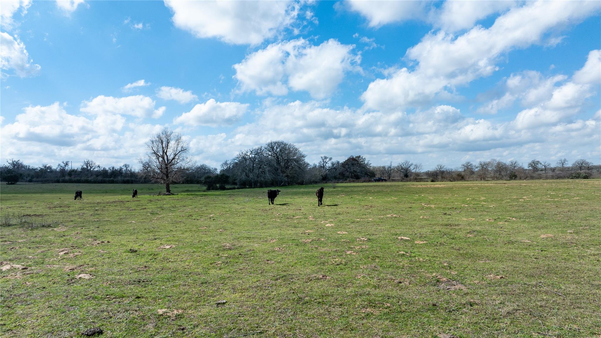 Lot 12 Mule Creek Road