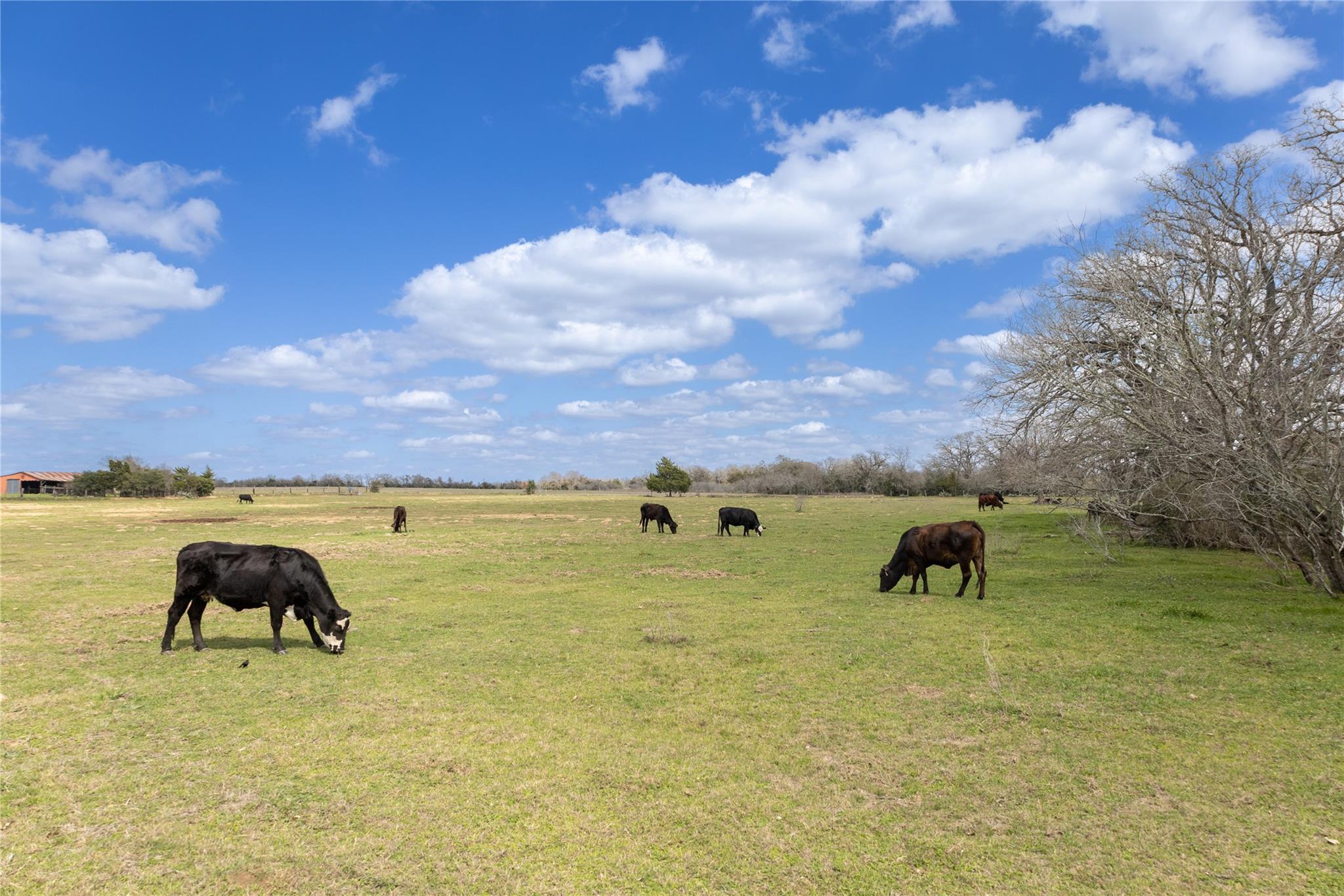 Lot 12 Mule Creek Road