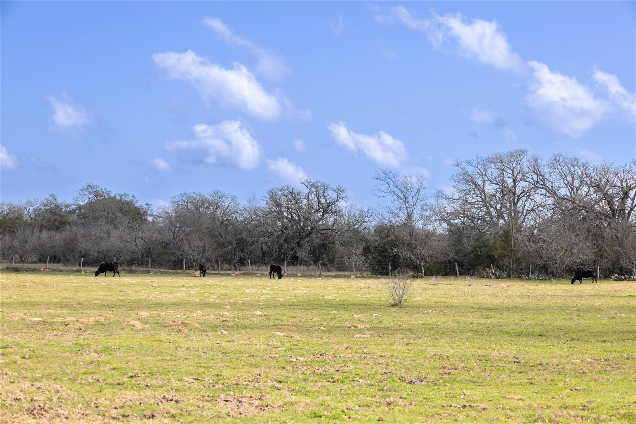 Lot 12 Mule Creek Road