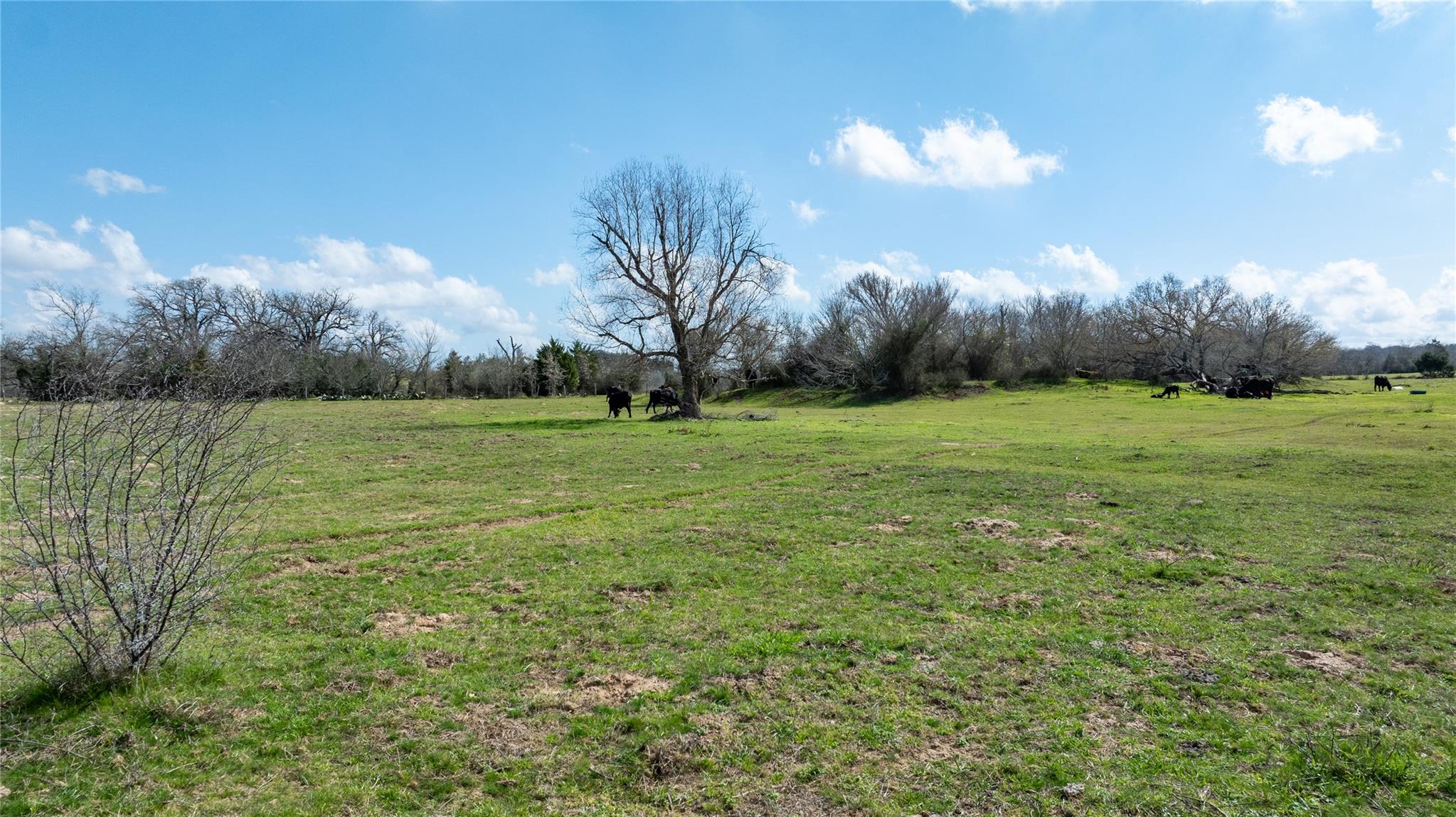Lot 12 Mule Creek Road