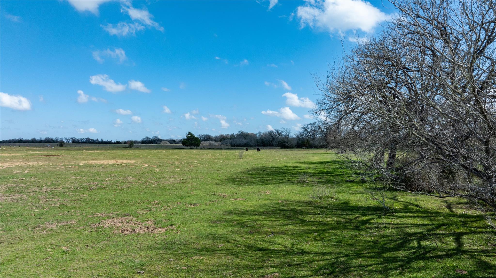 Lot 12 Mule Creek Road