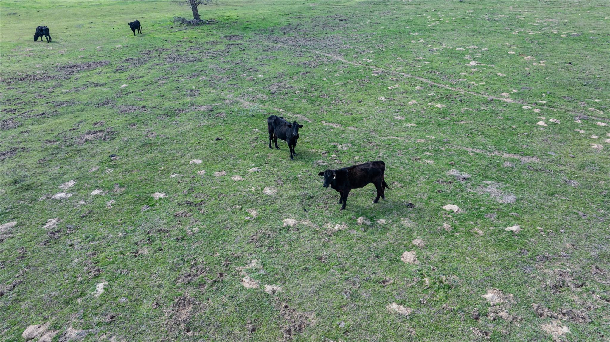 Lot 12 Mule Creek Road