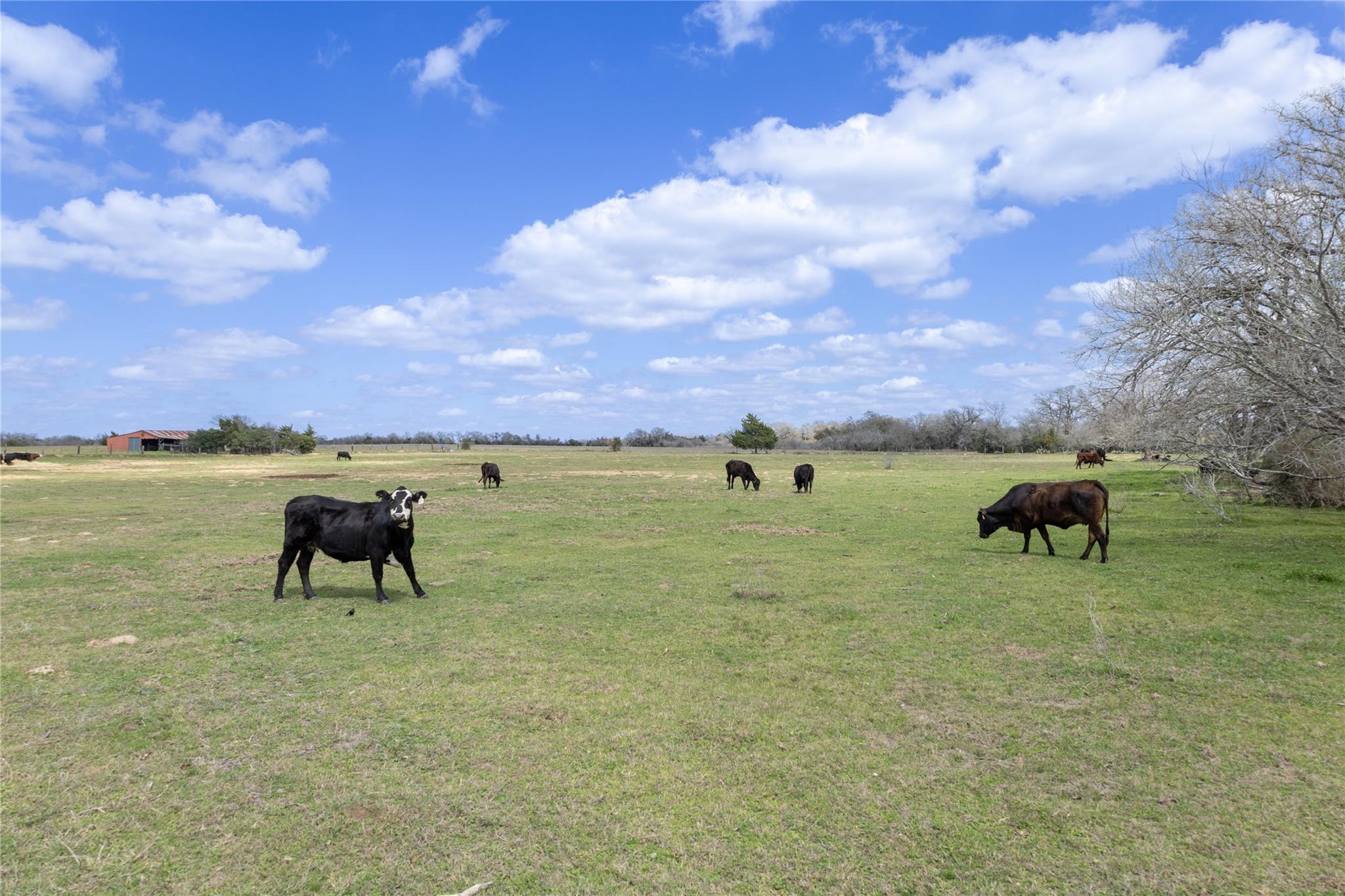 Lot 12 Mule Creek Road