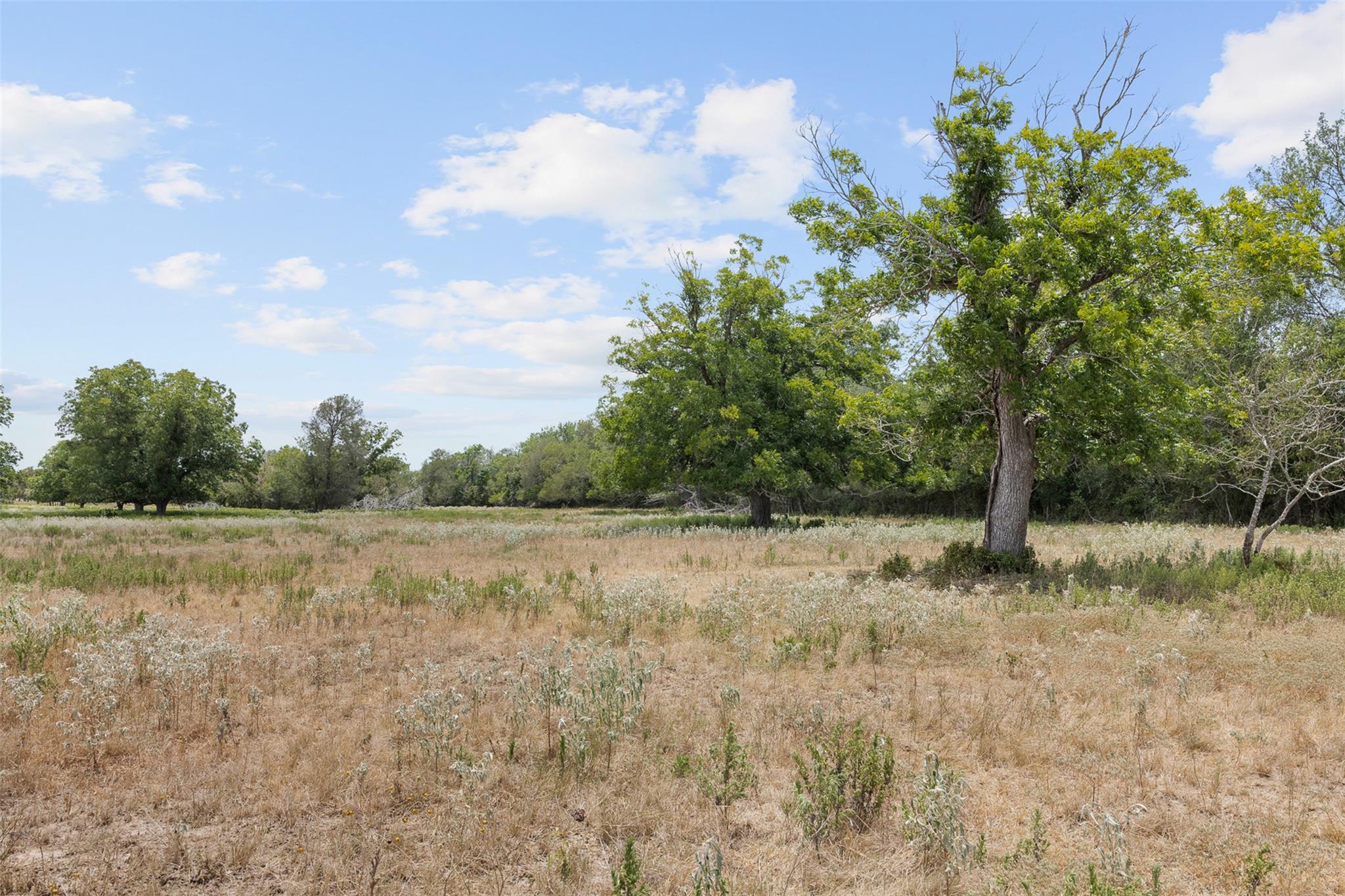 Tract 2 Fm 3158