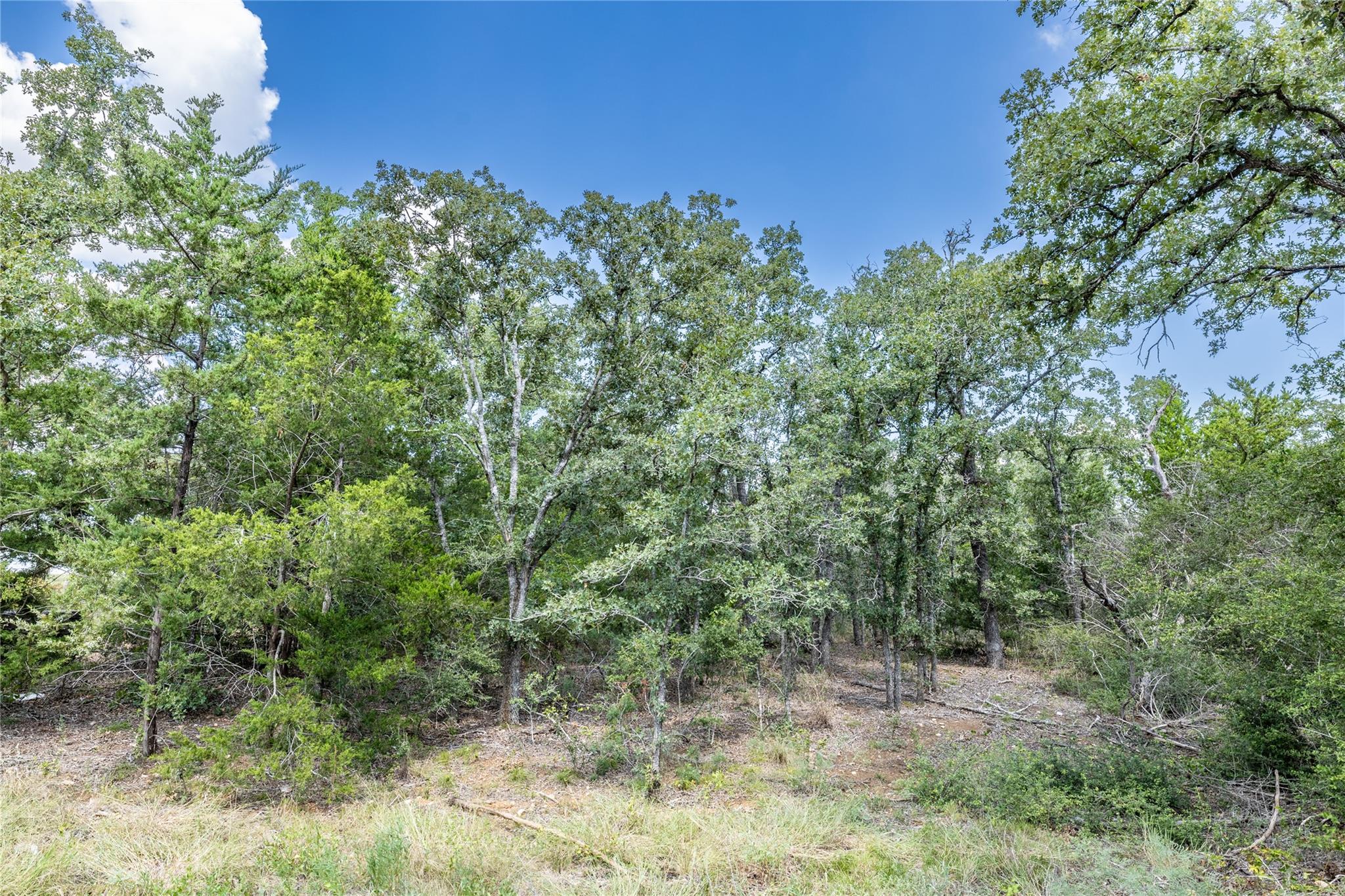 TBD Edgewood Trail RD
