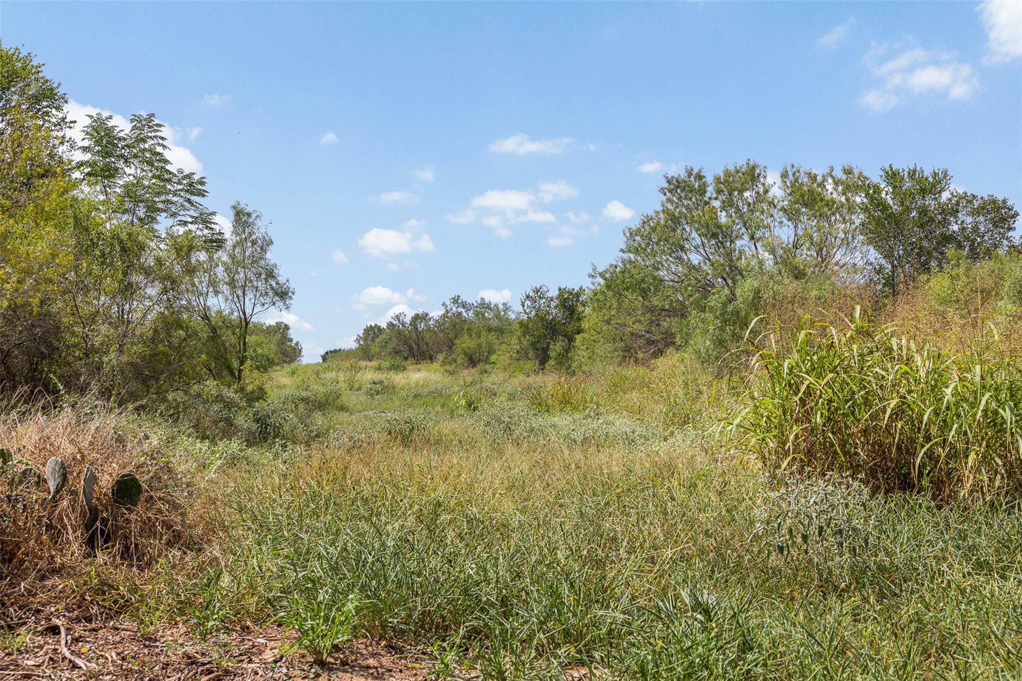 3650 County Road 304