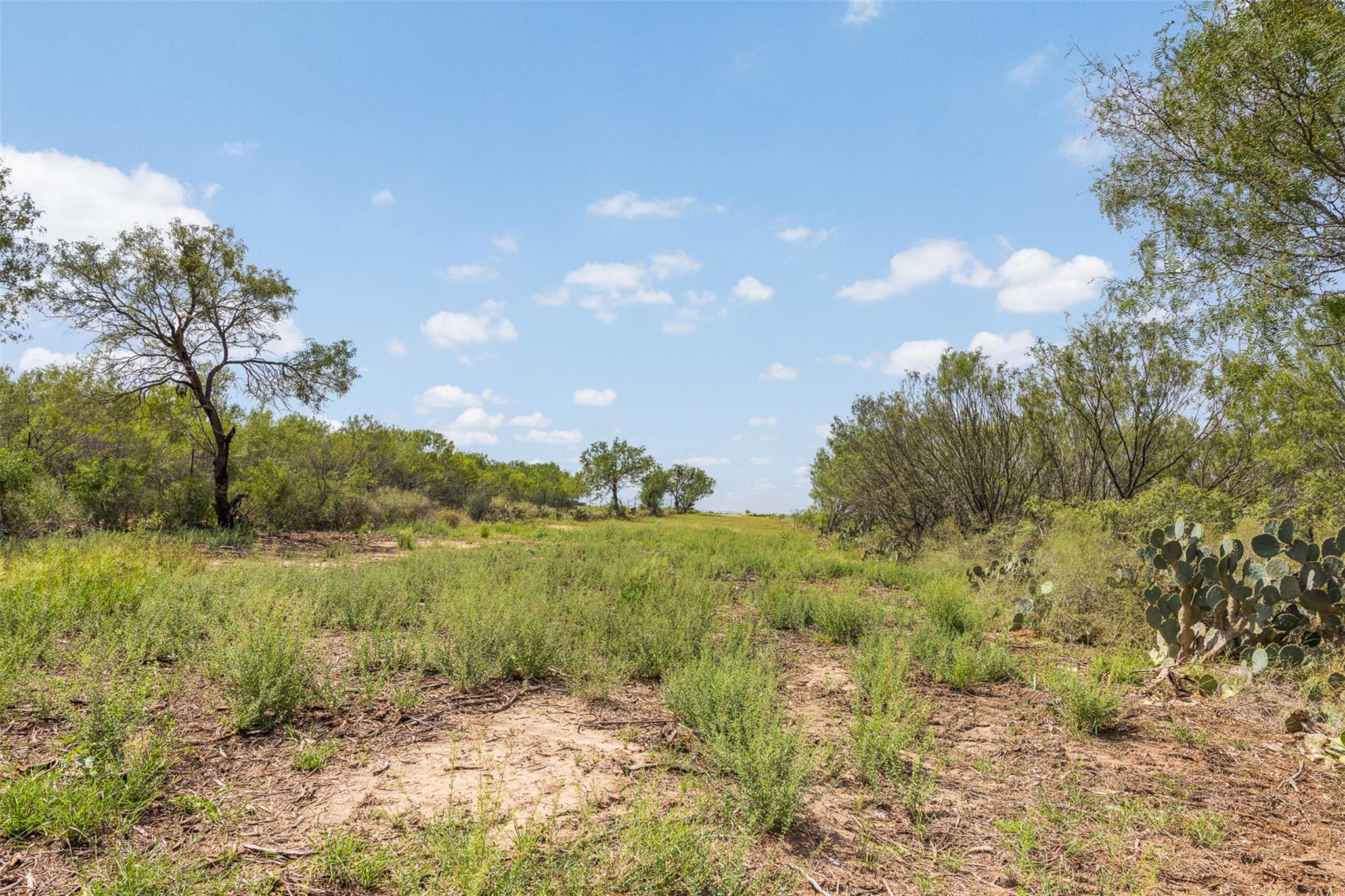3650 County Road 304