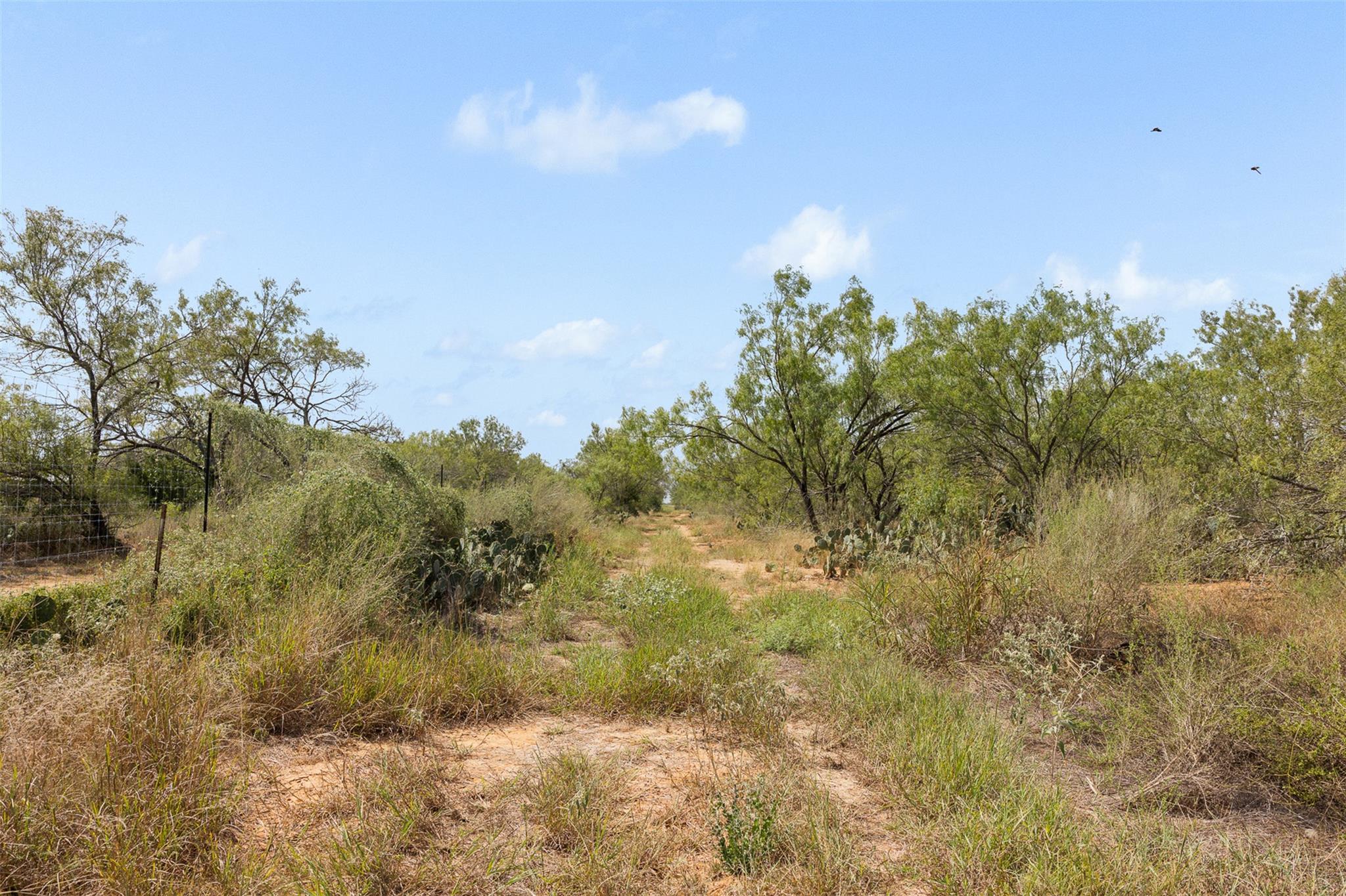 3650 County Road 304